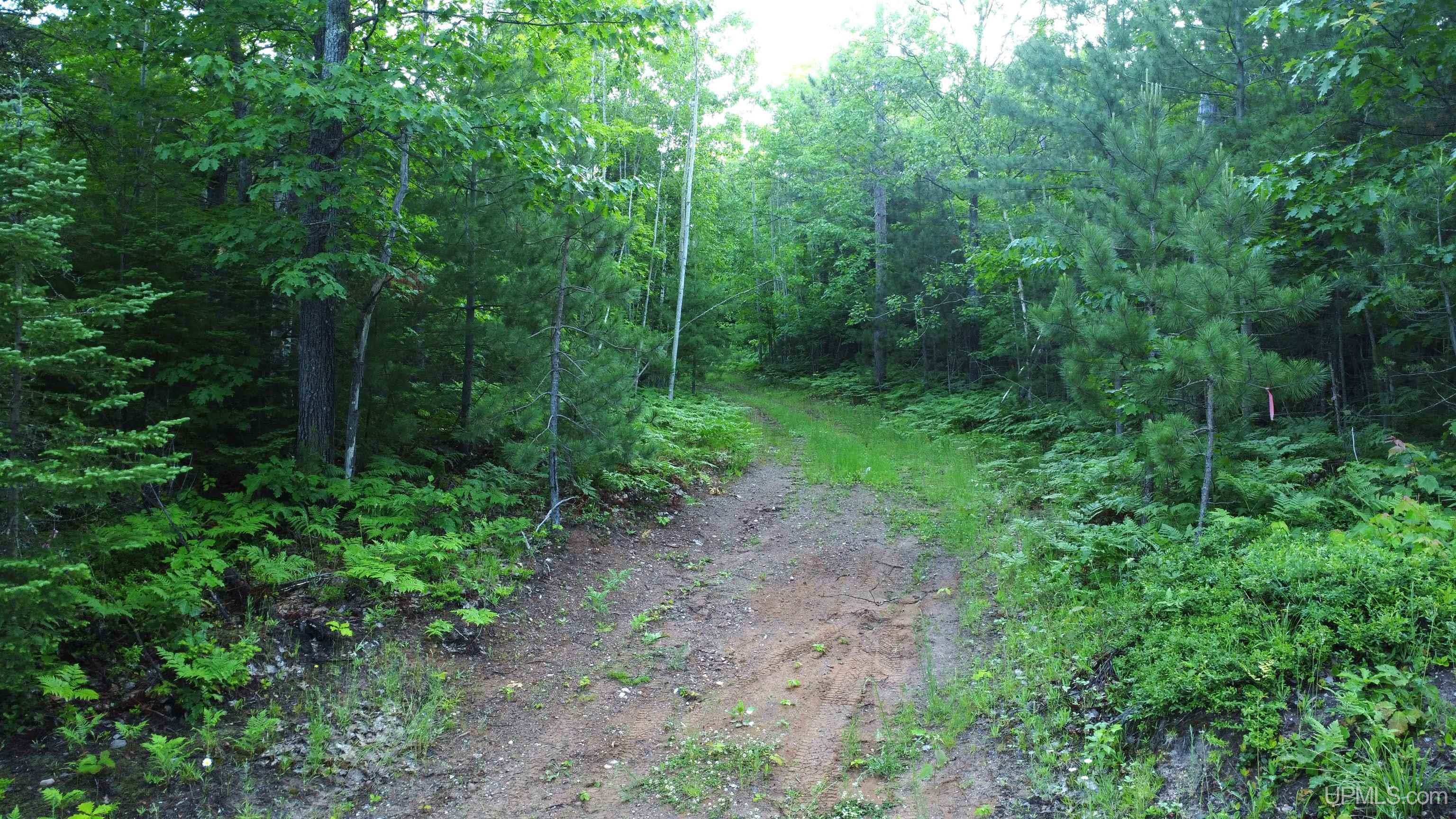 Land Listing MLS Number 50180386