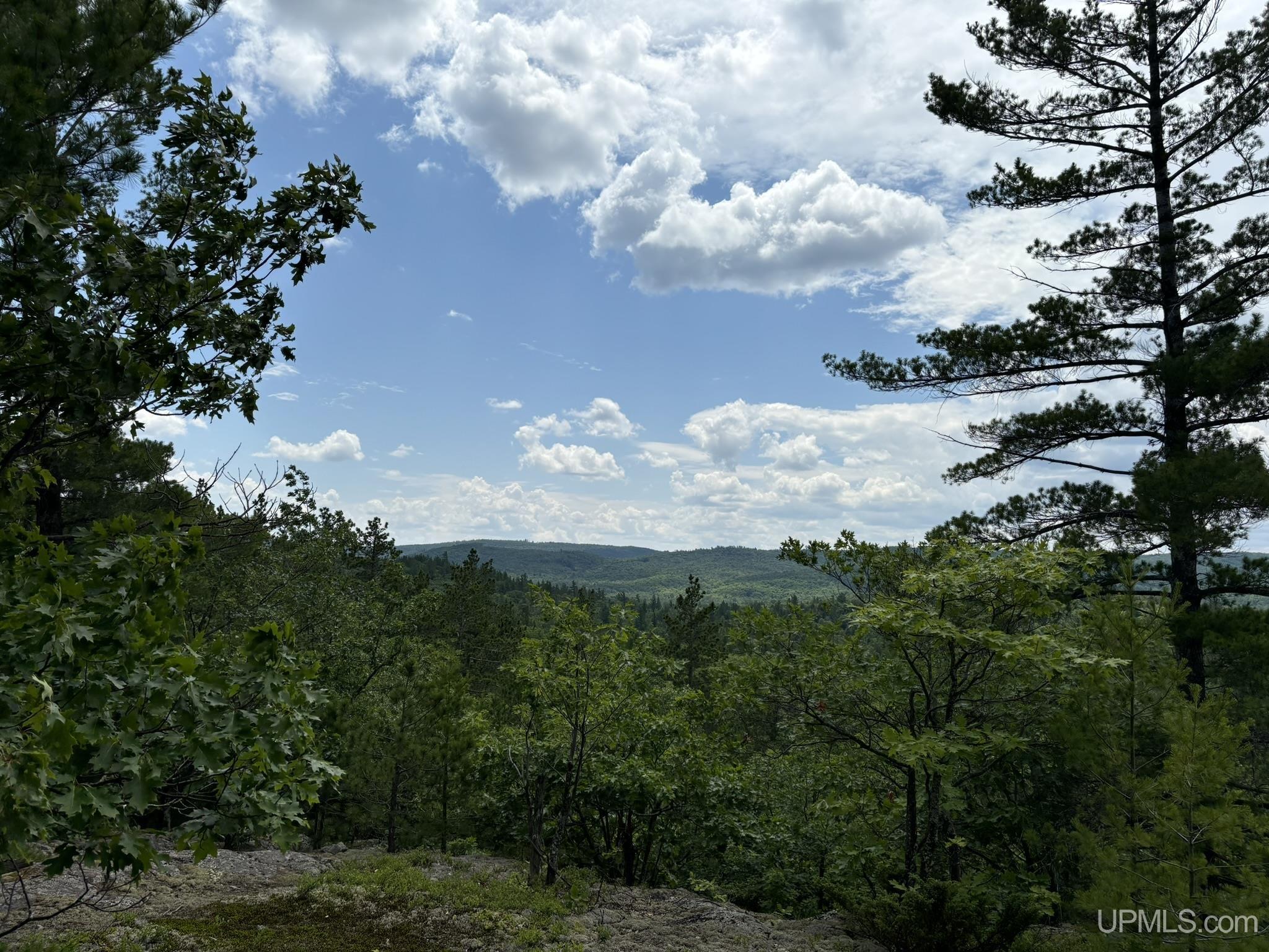 MLS 50180391 Large photo number 2 
