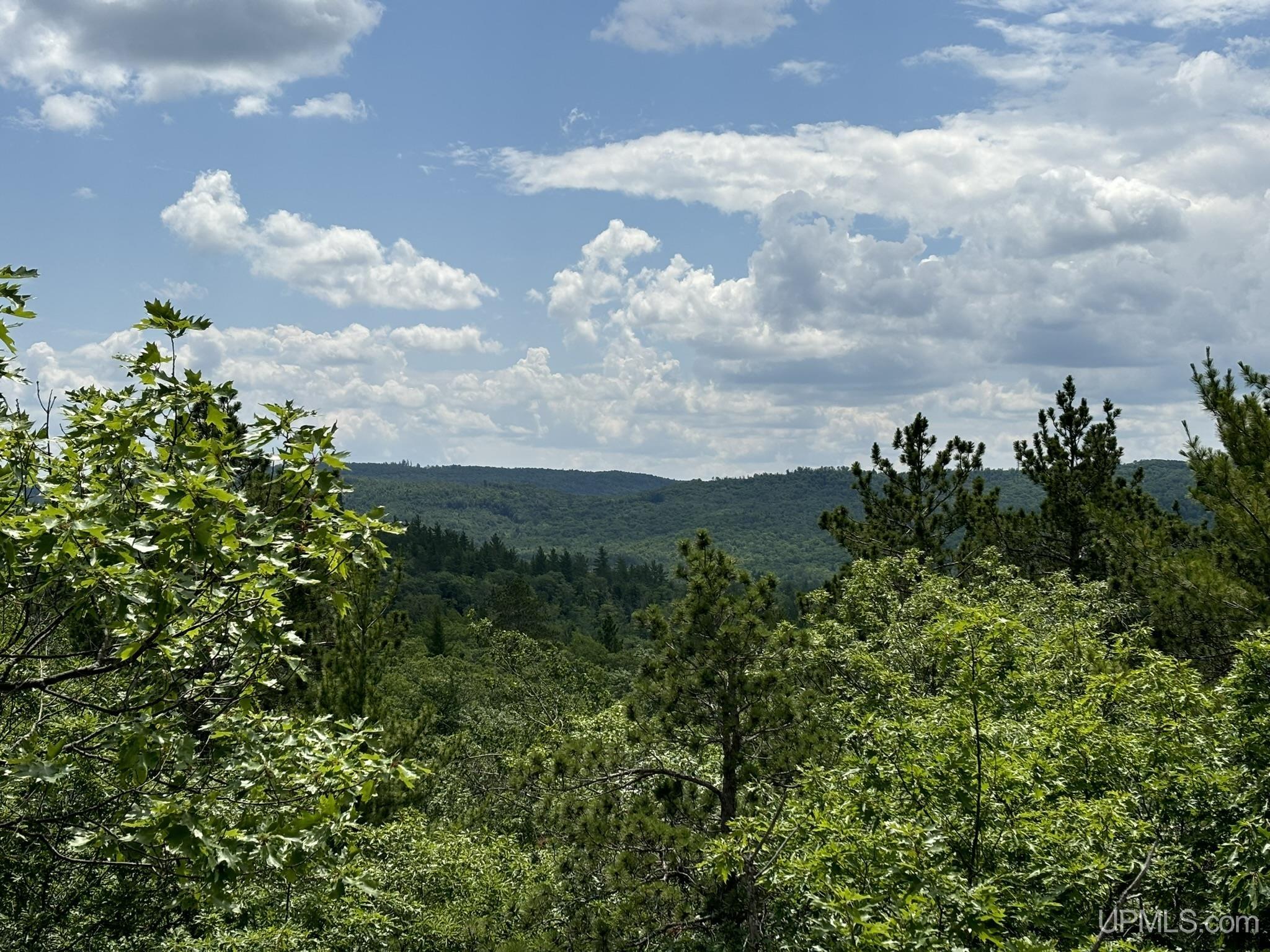 MLS 50180391 Large photo number 12 