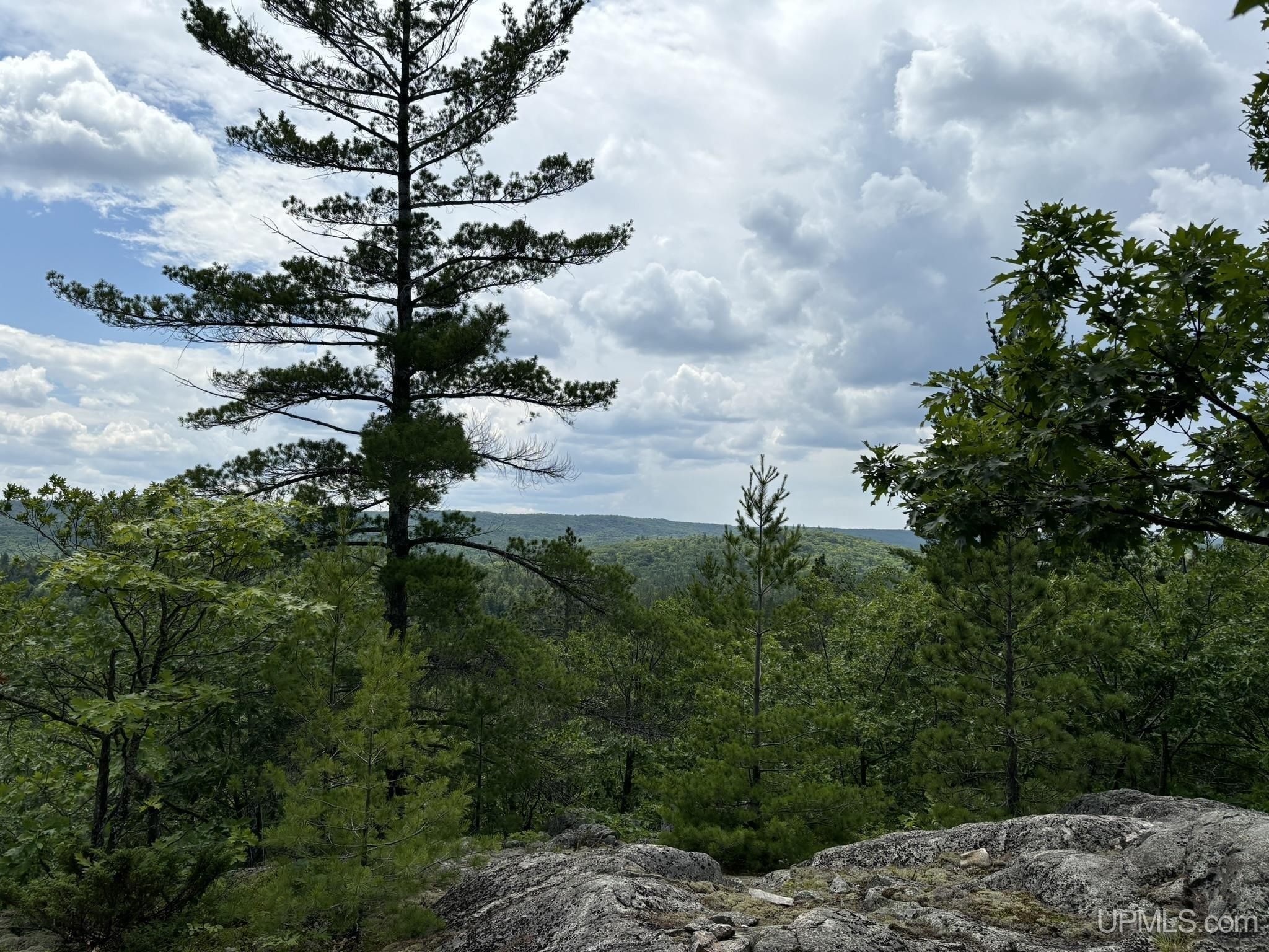 MLS 50180391 Large photo number 15 