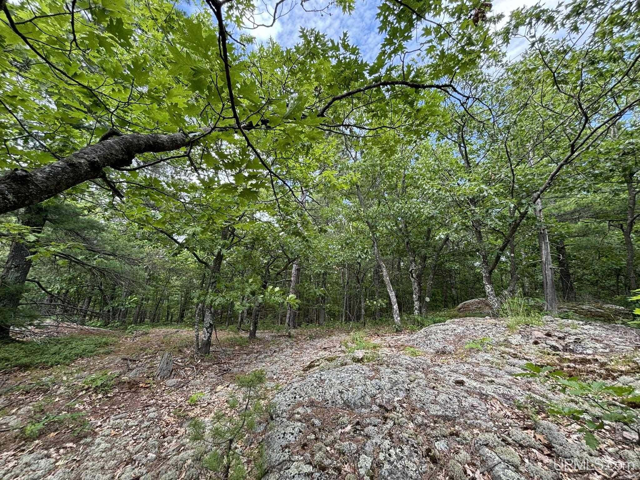 MLS 50180391 Large photo number 3 
