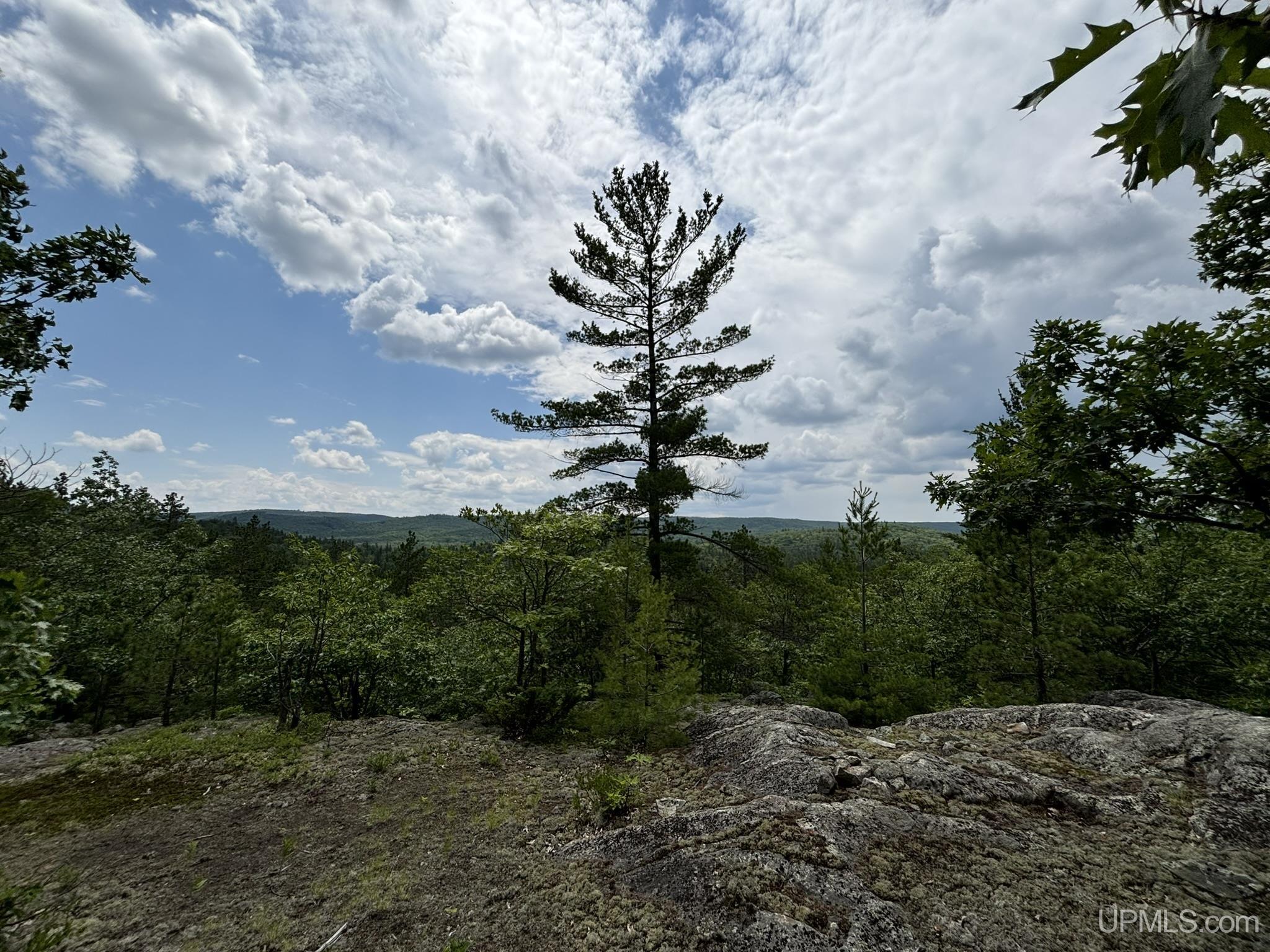 MLS 50180391 Large photo number 22 