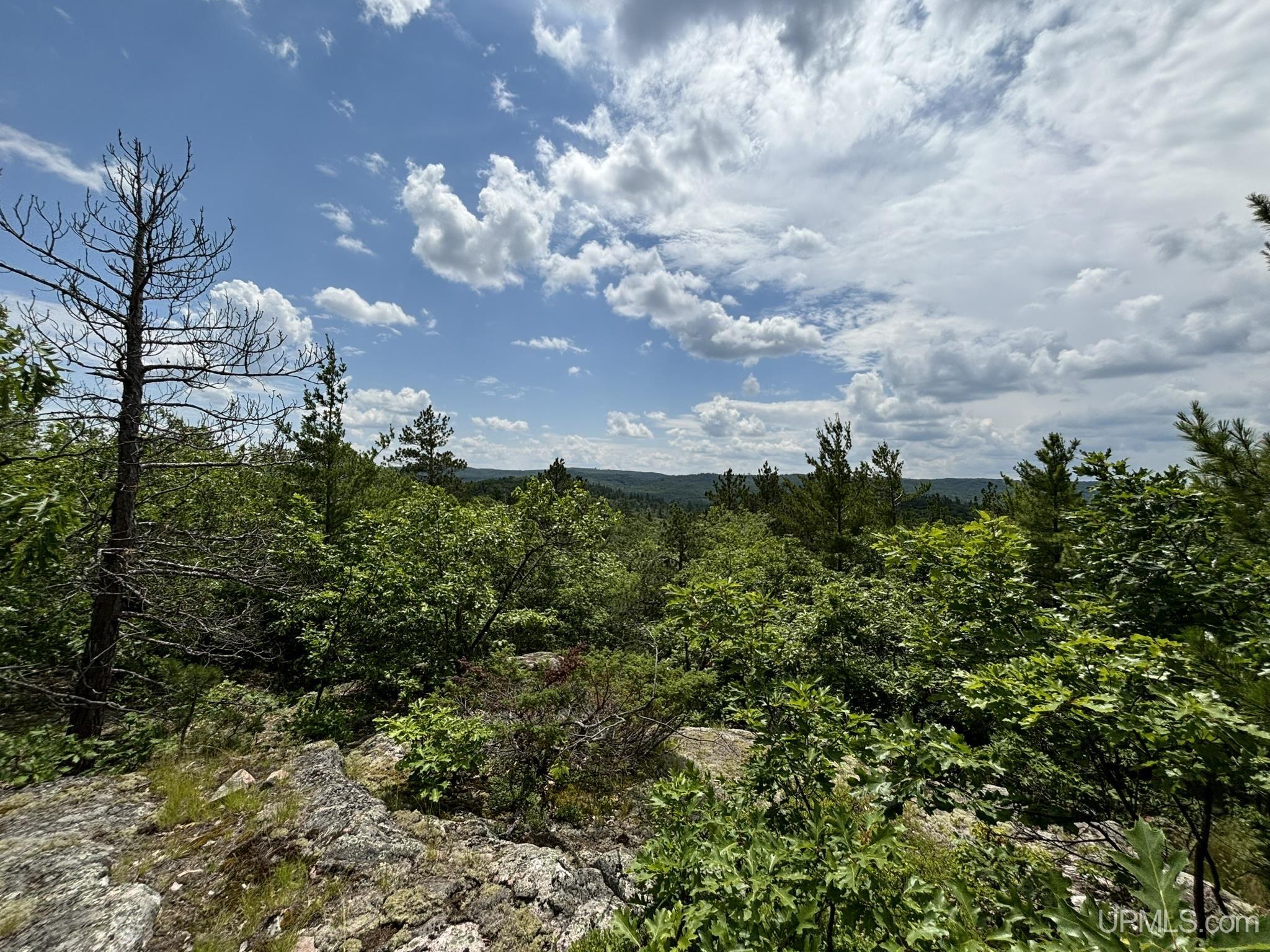 MLS 50180391 Large photo number 4 