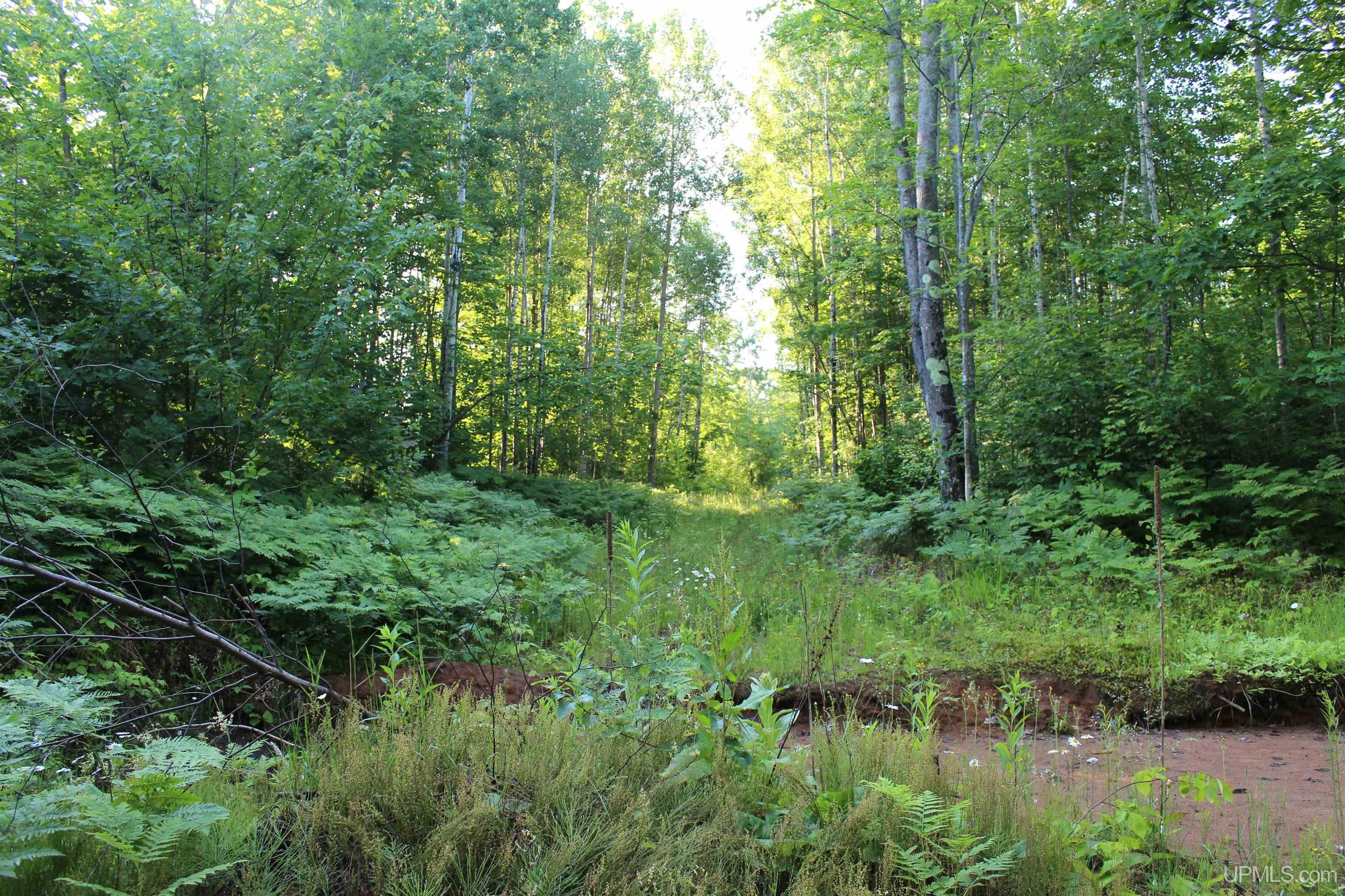 MLS 50180398 Large photo number 12 