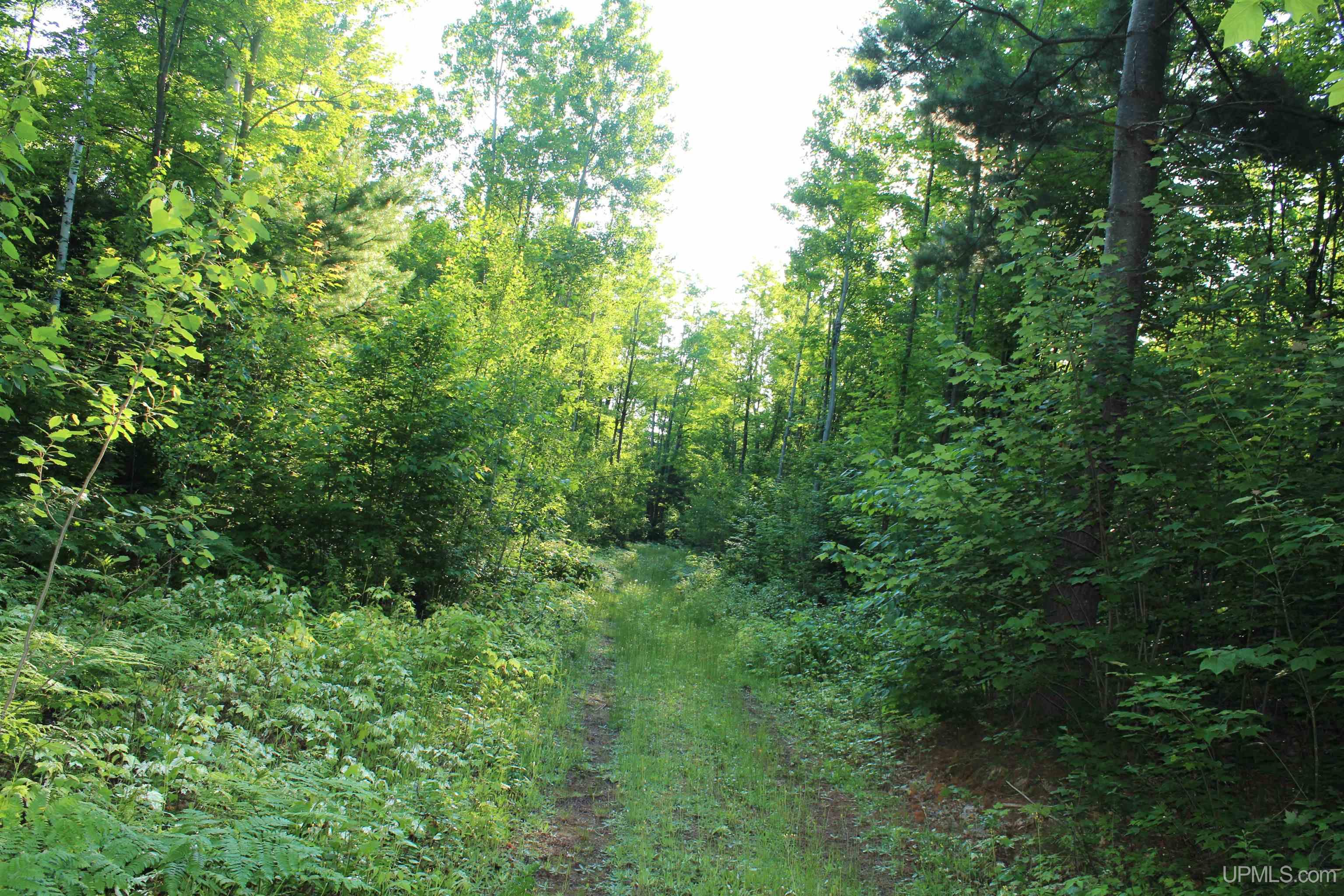 MLS 50180398 Large photo number 4 