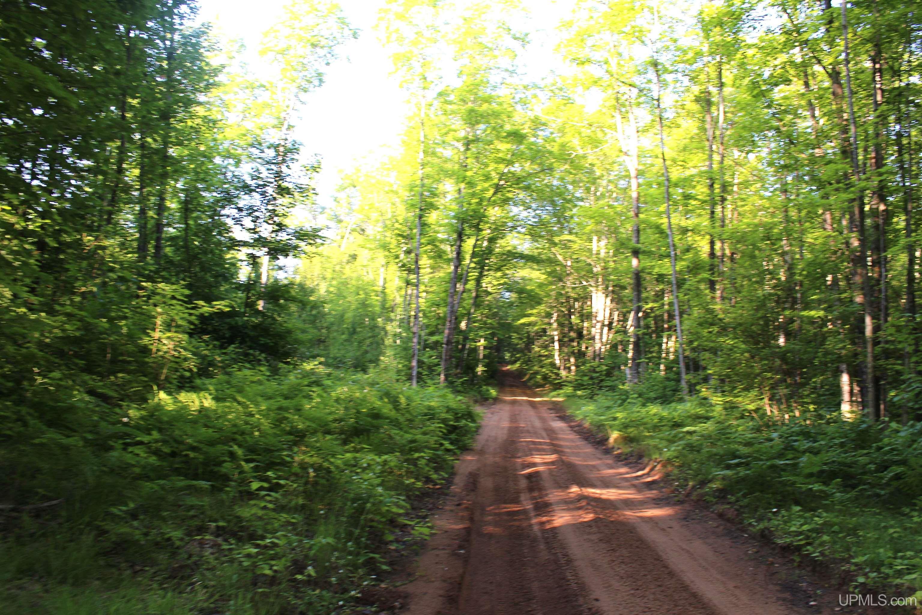 MLS 50180398 Large photo number 6 