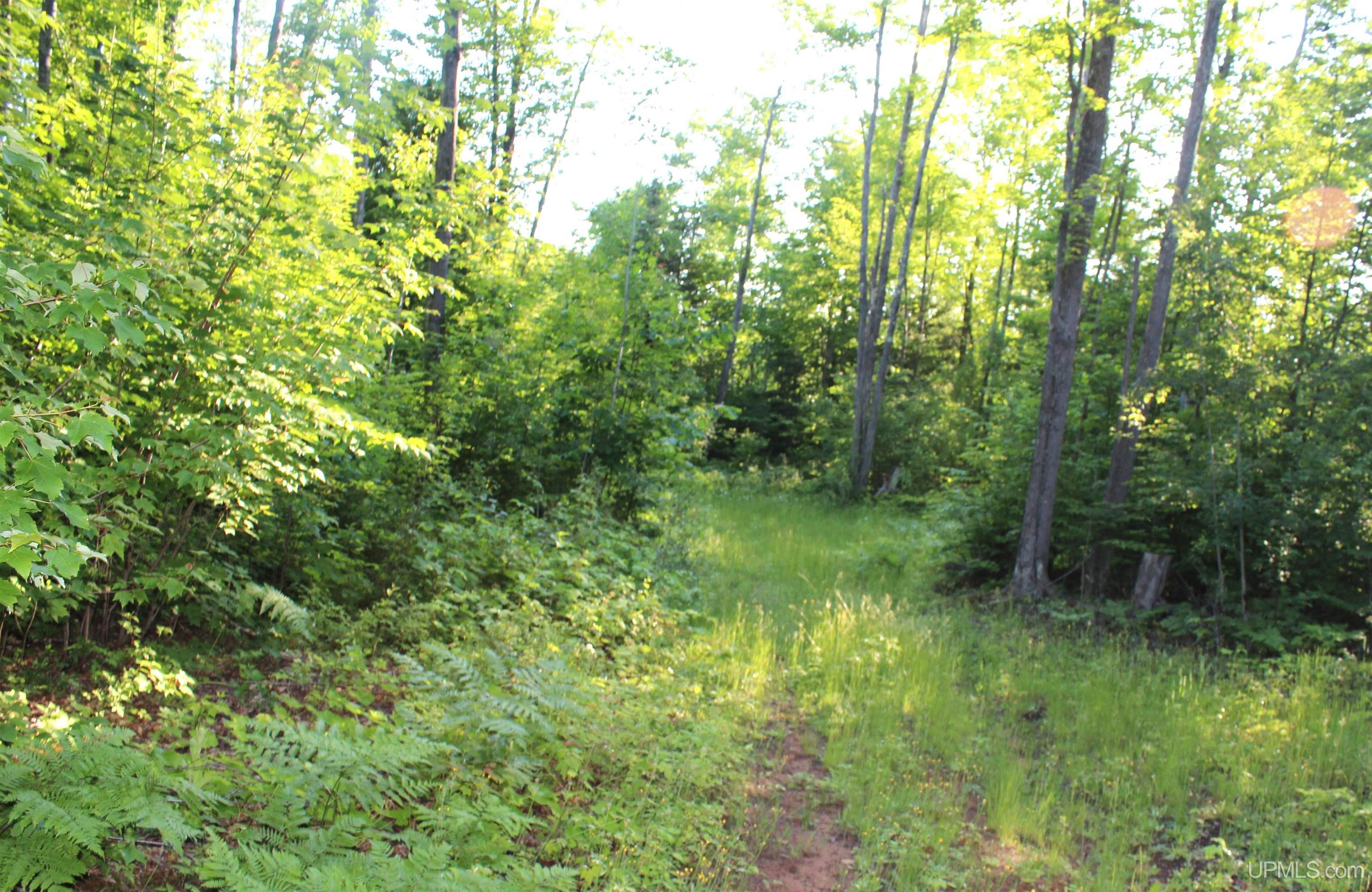 MLS 50180398 Large photo number 10 