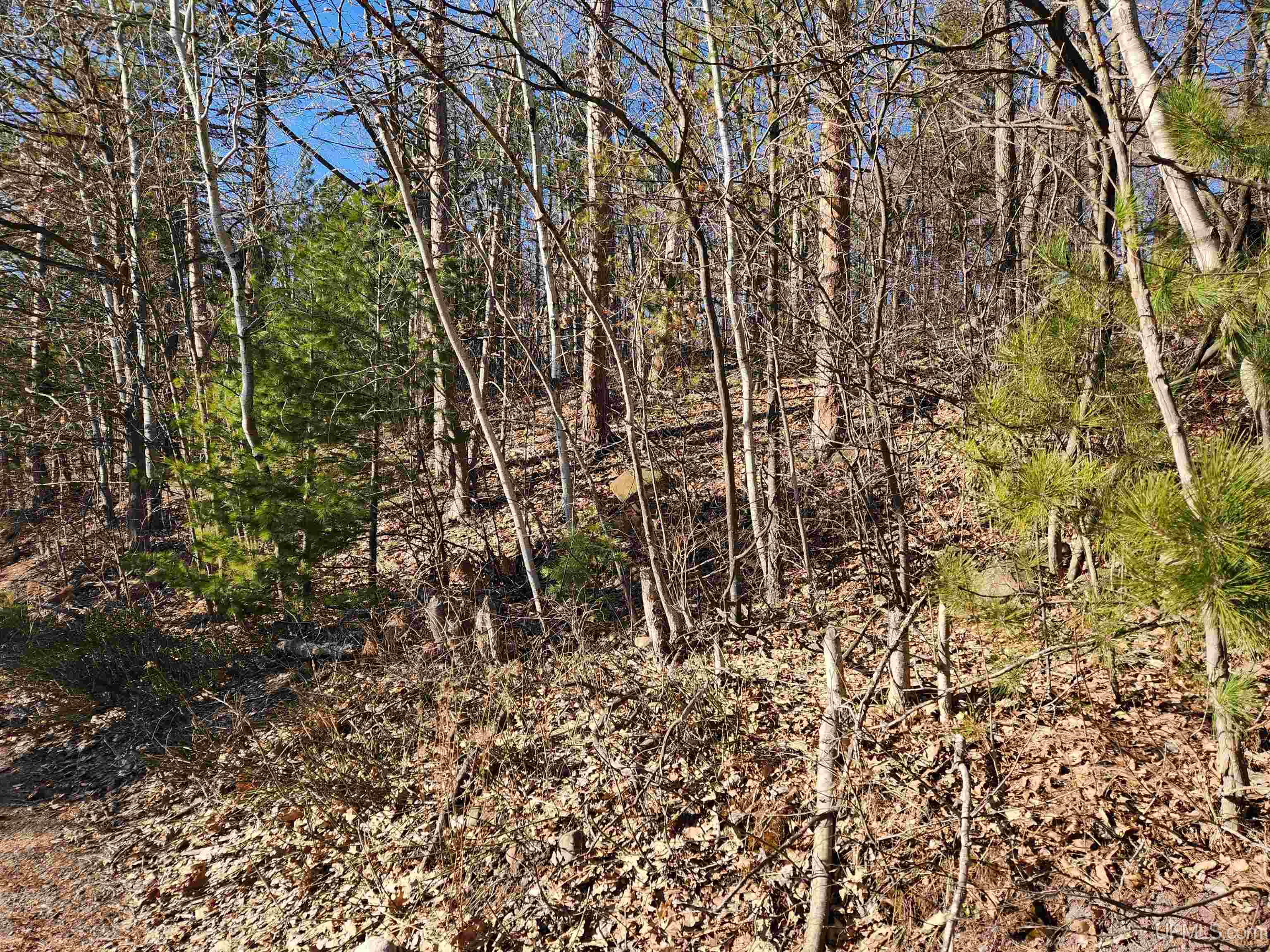 MLS 50180516 Large photo number 19 