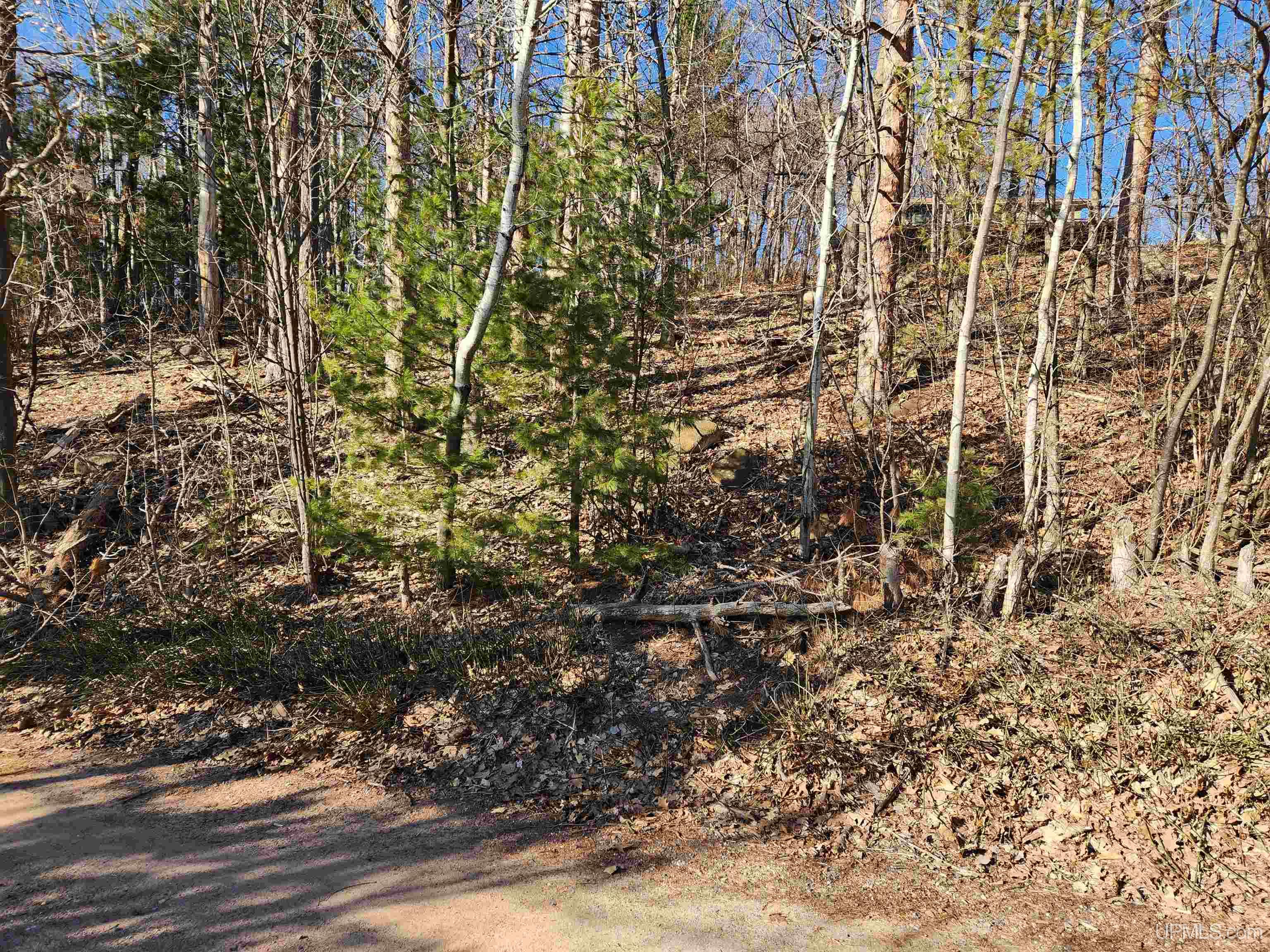 MLS 50180516 Large photo number 20 