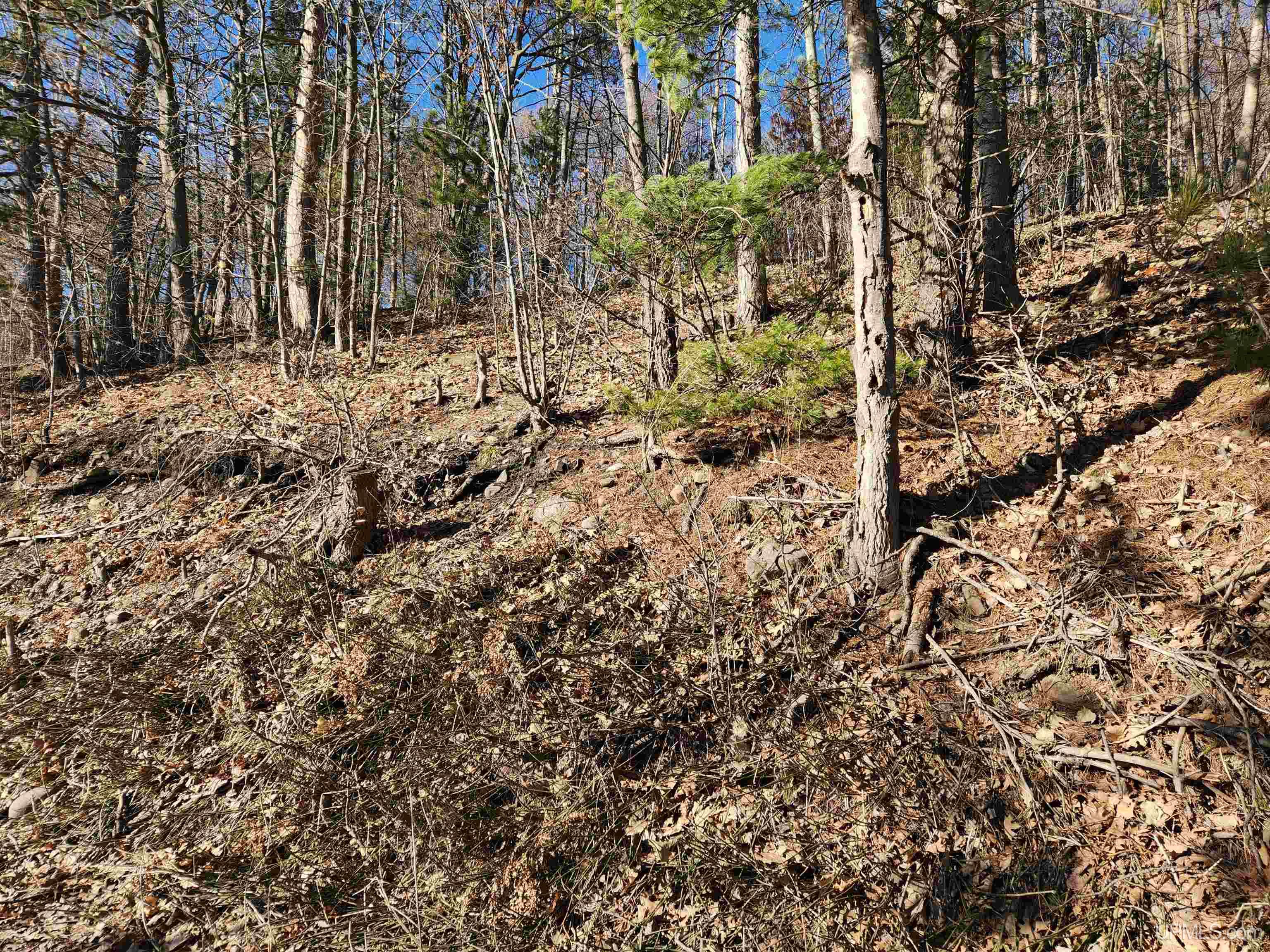 MLS 50180516 Large photo number 21 
