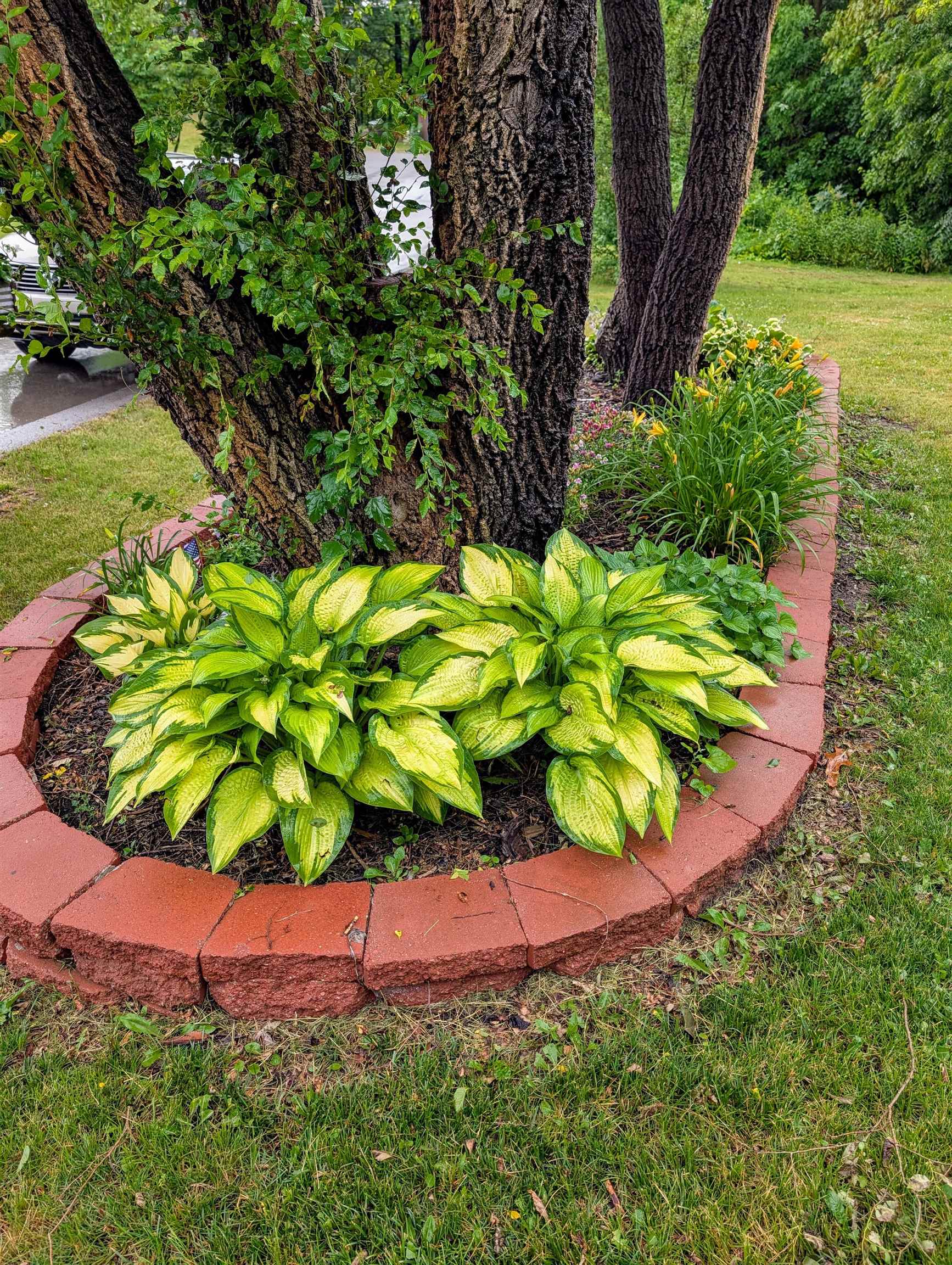 7481 Five Lakes Drive, Farwell, MI, 48622