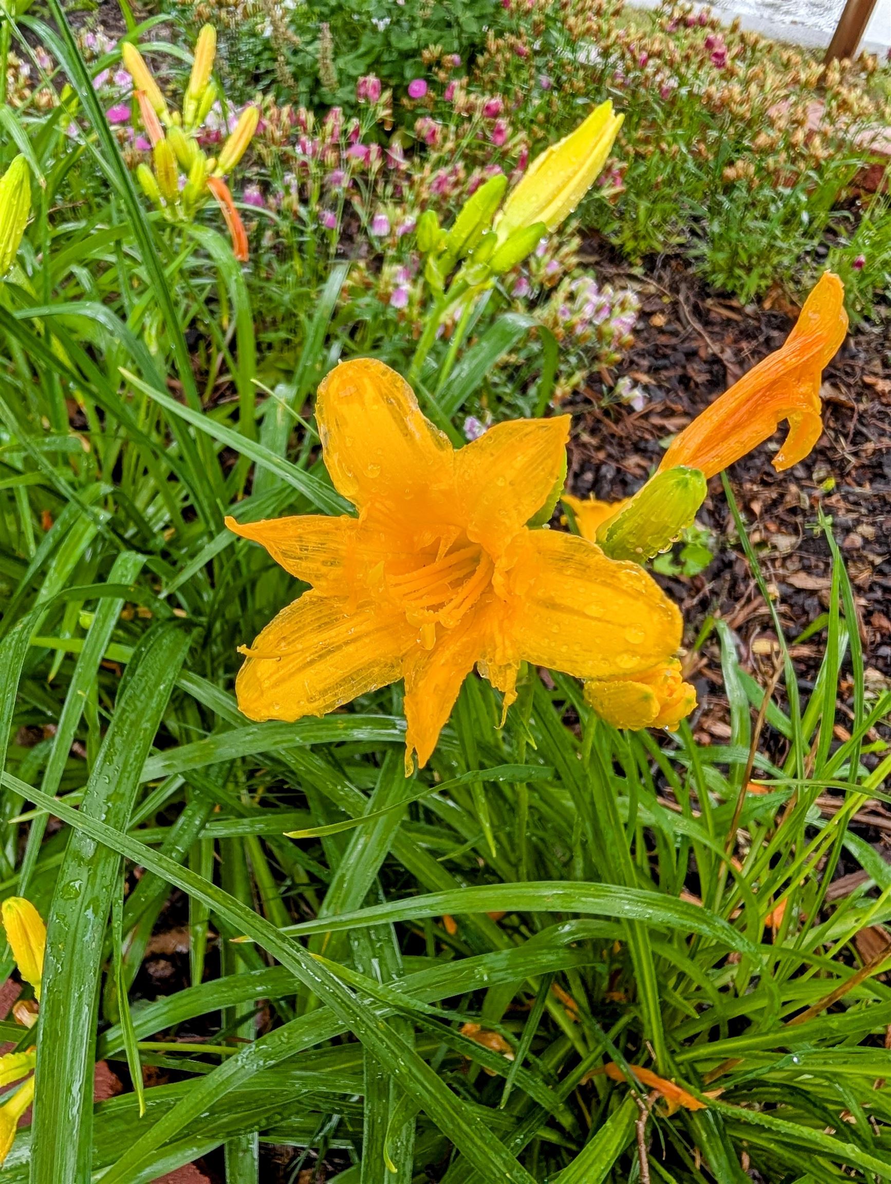 7481 Five Lakes Drive, Farwell, MI, 48622