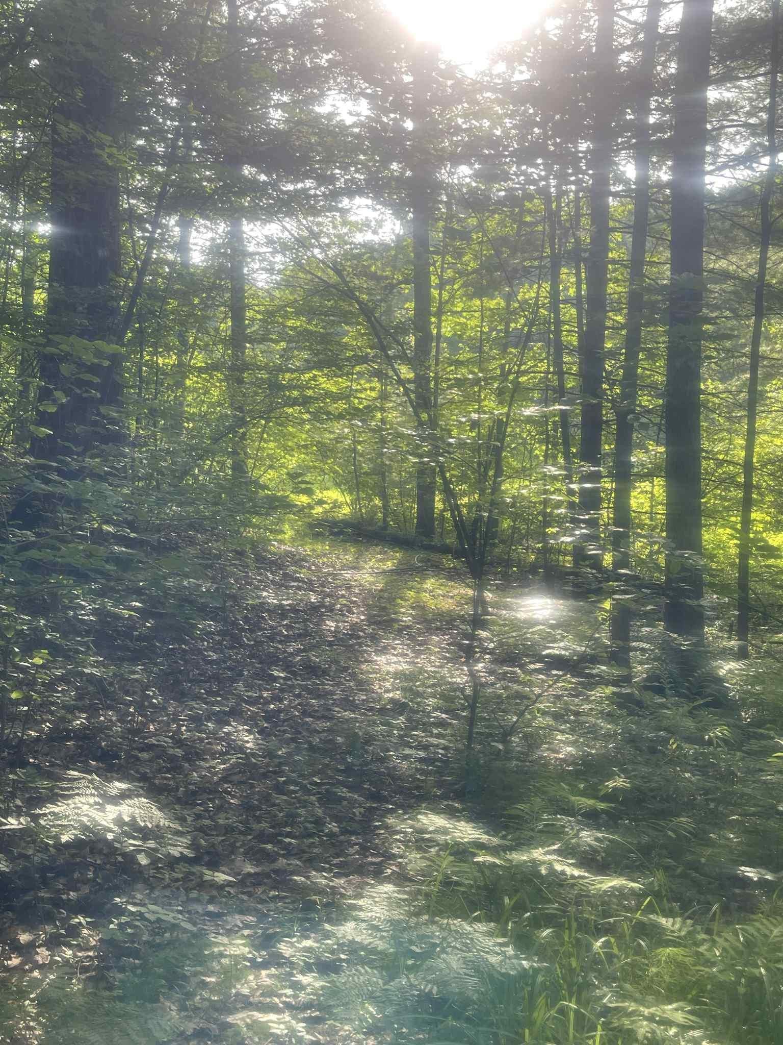 7481 Five Lakes Drive, Farwell, MI, 48622