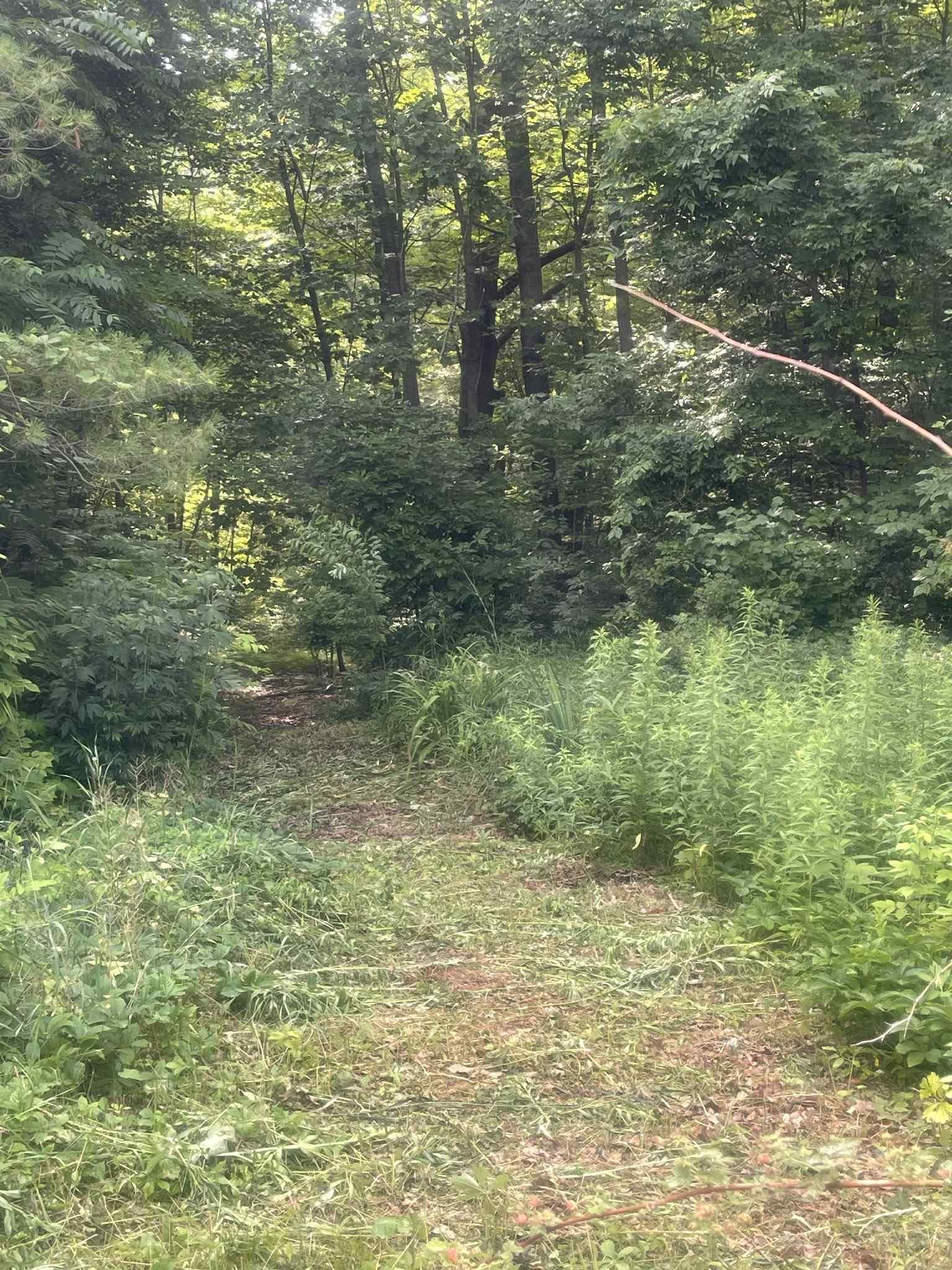 7481 Five Lakes Drive, Farwell, MI, 48622