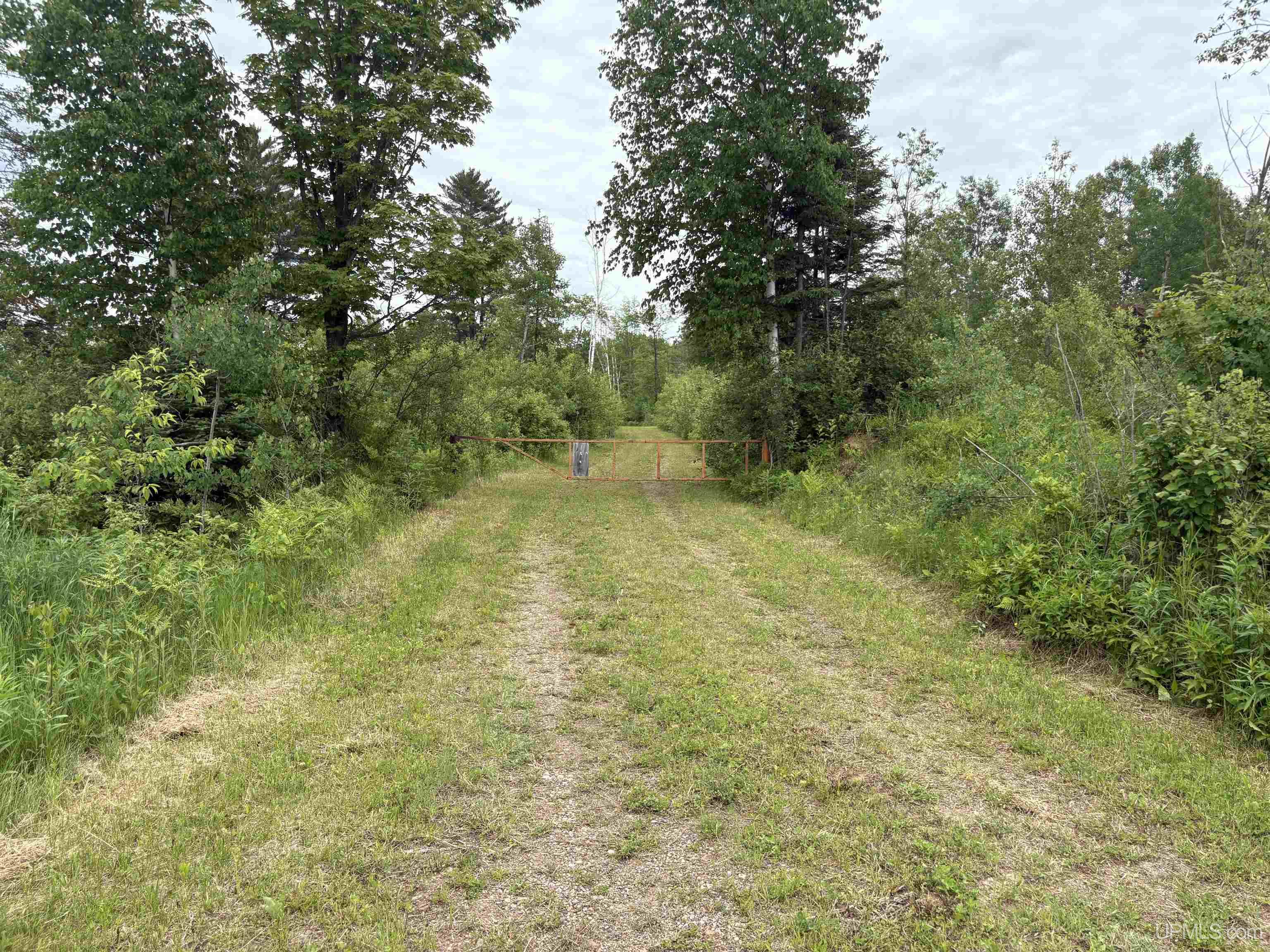 MLS 50181073 Large photo number 7 