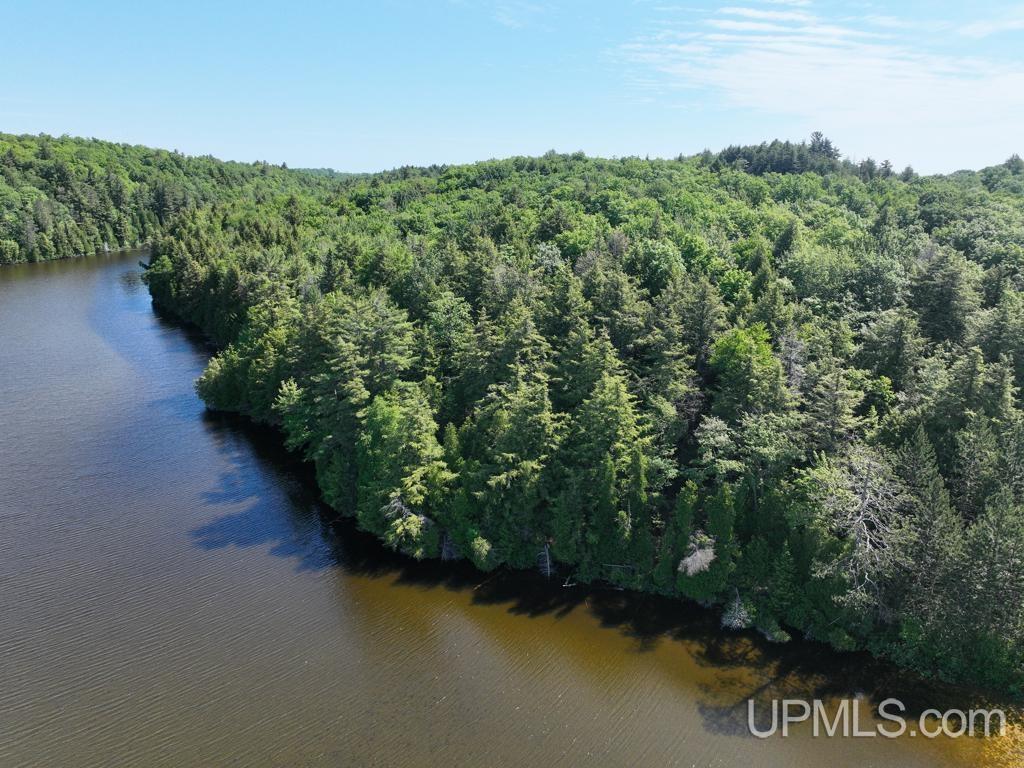 MLS 50181339 Large photo number 2 