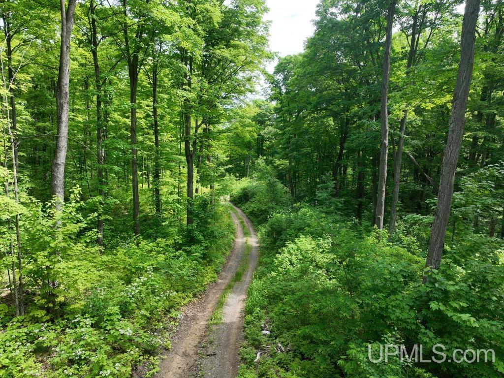 MLS 50181339 Large photo number 18 