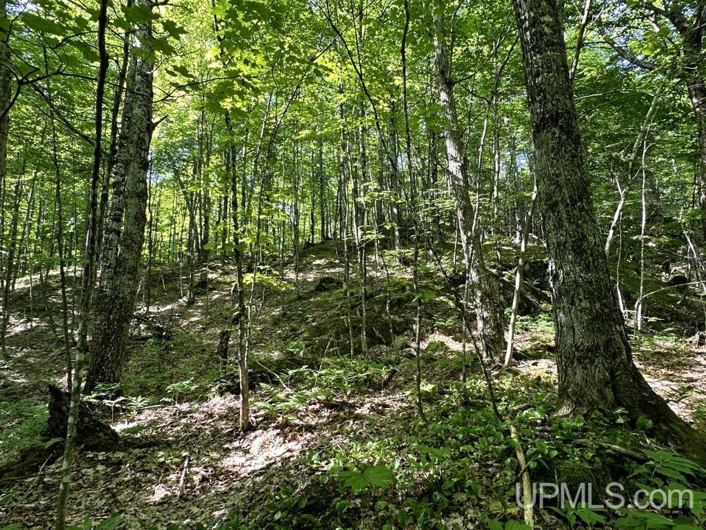 MLS 50181339 Large photo number 25 