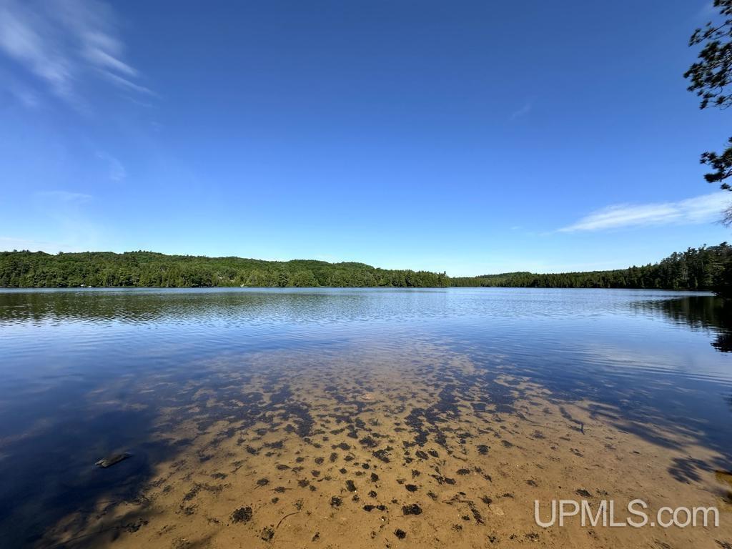 MLS 50181339 Large photo number 29 