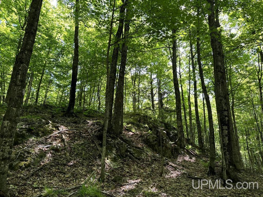 MLS 50181339 Large photo number 30 
