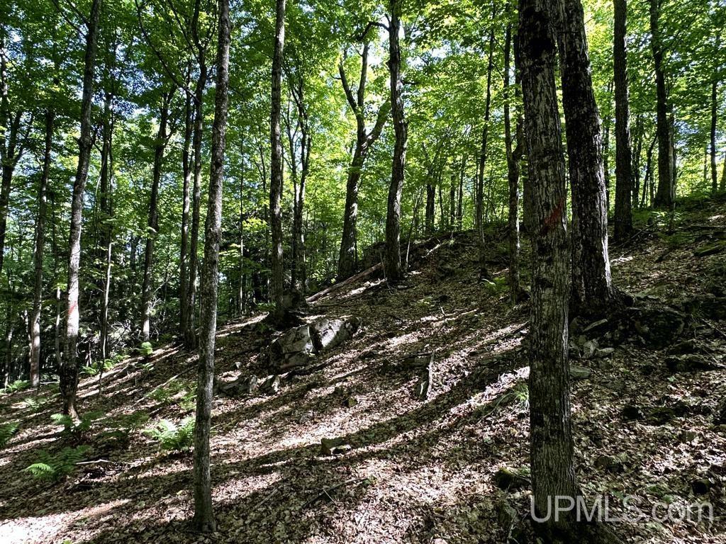MLS 50181339 Large photo number 31 