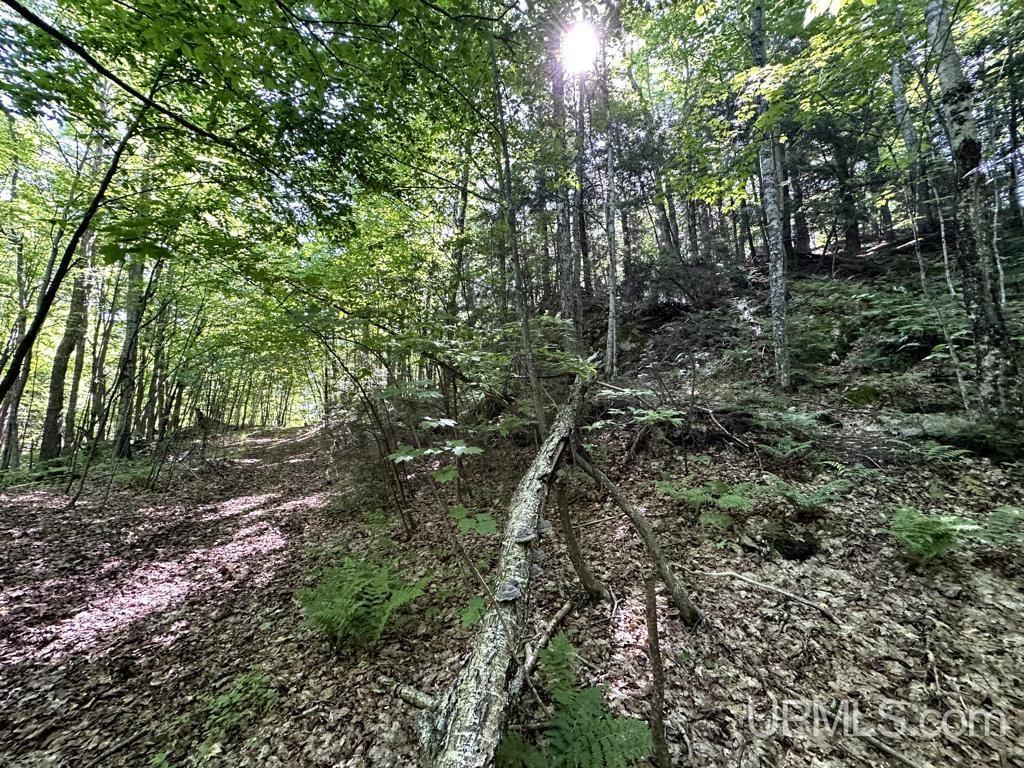 MLS 50181339 Large photo number 32 