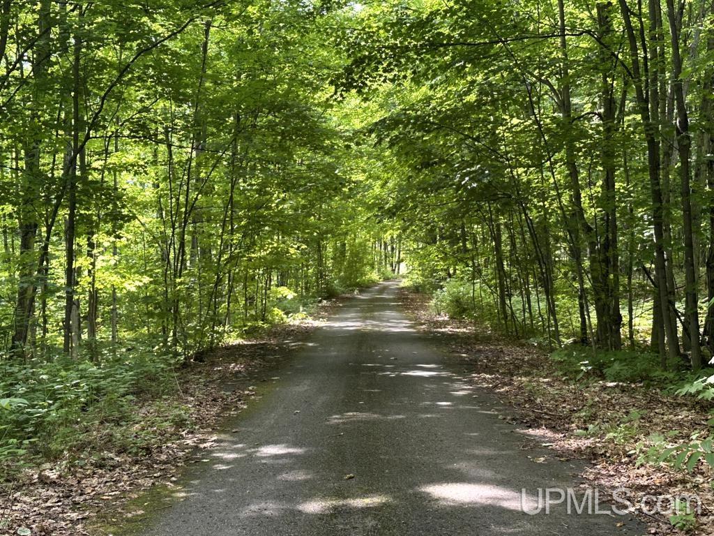 MLS 50181339 Large photo number 33 