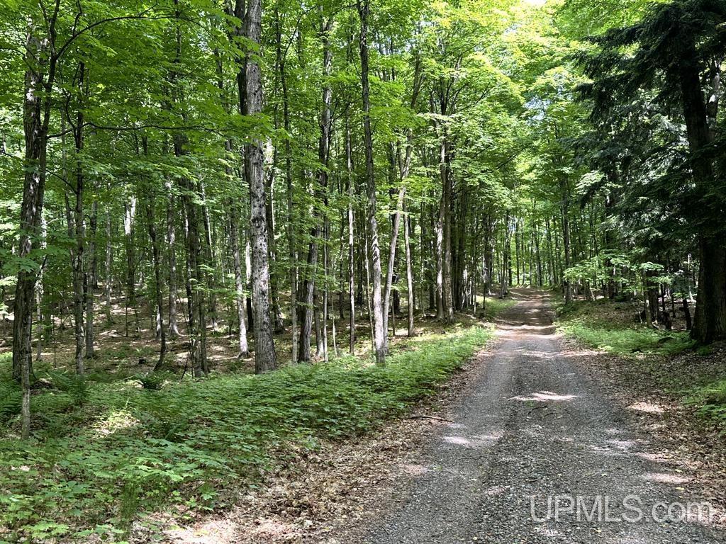 MLS 50181339 Large photo number 35 