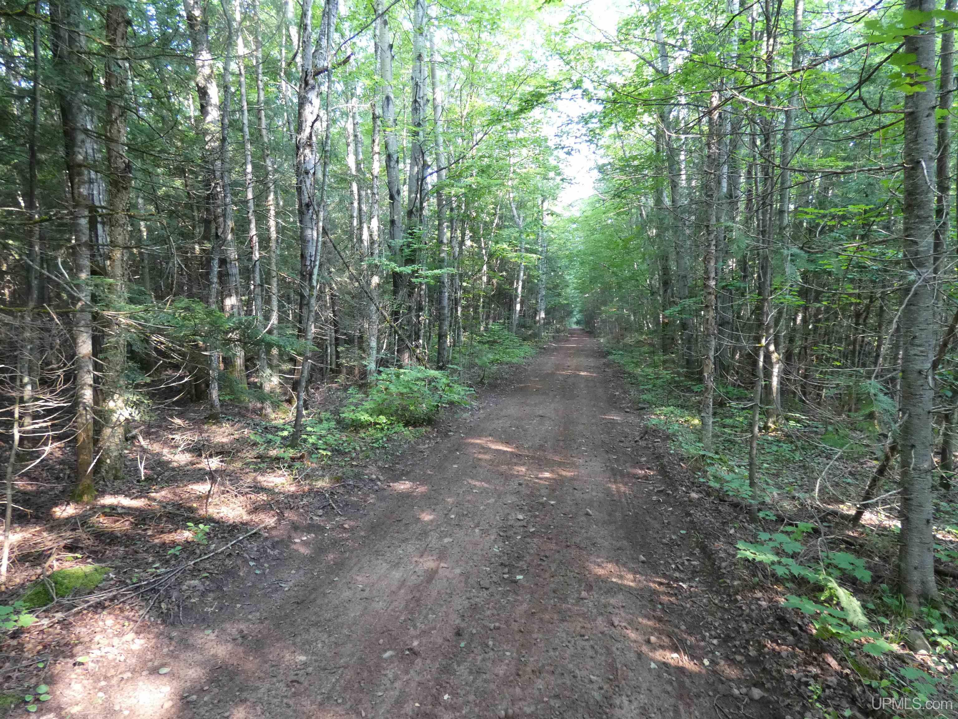 MLS 50182984 Large photo number 26 