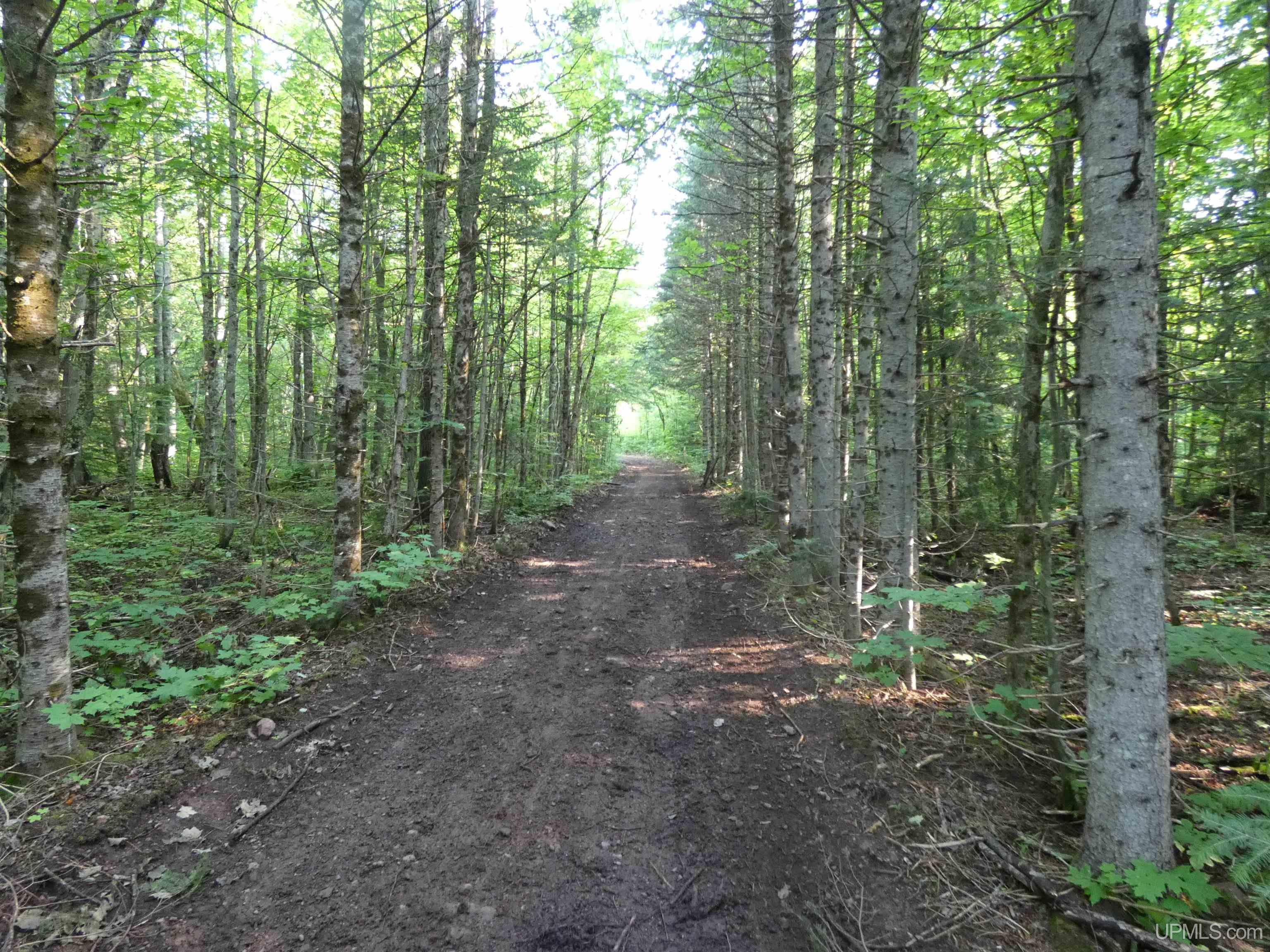 MLS 50182984 Large photo number 27 