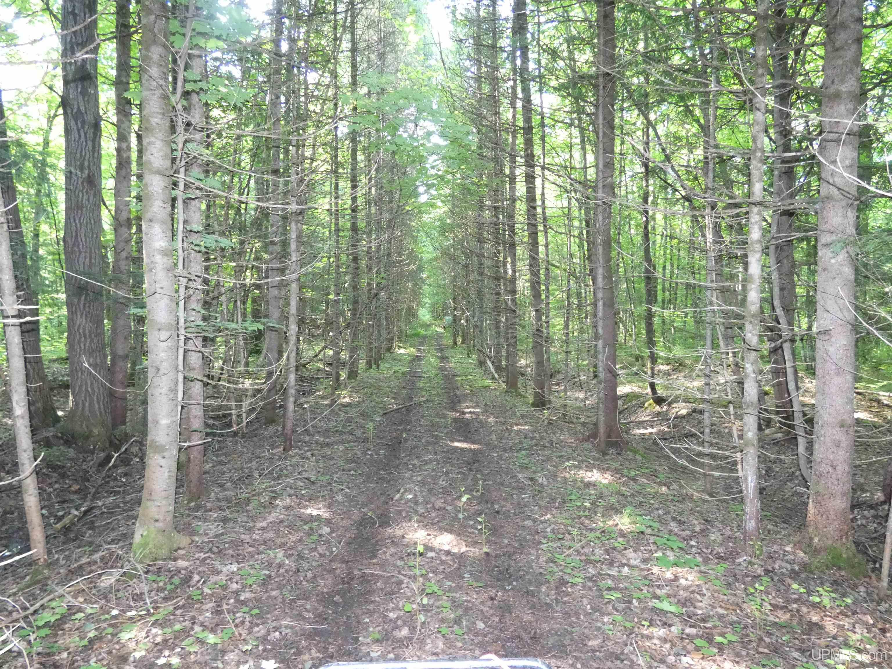 MLS 50182984 Large photo number 28 