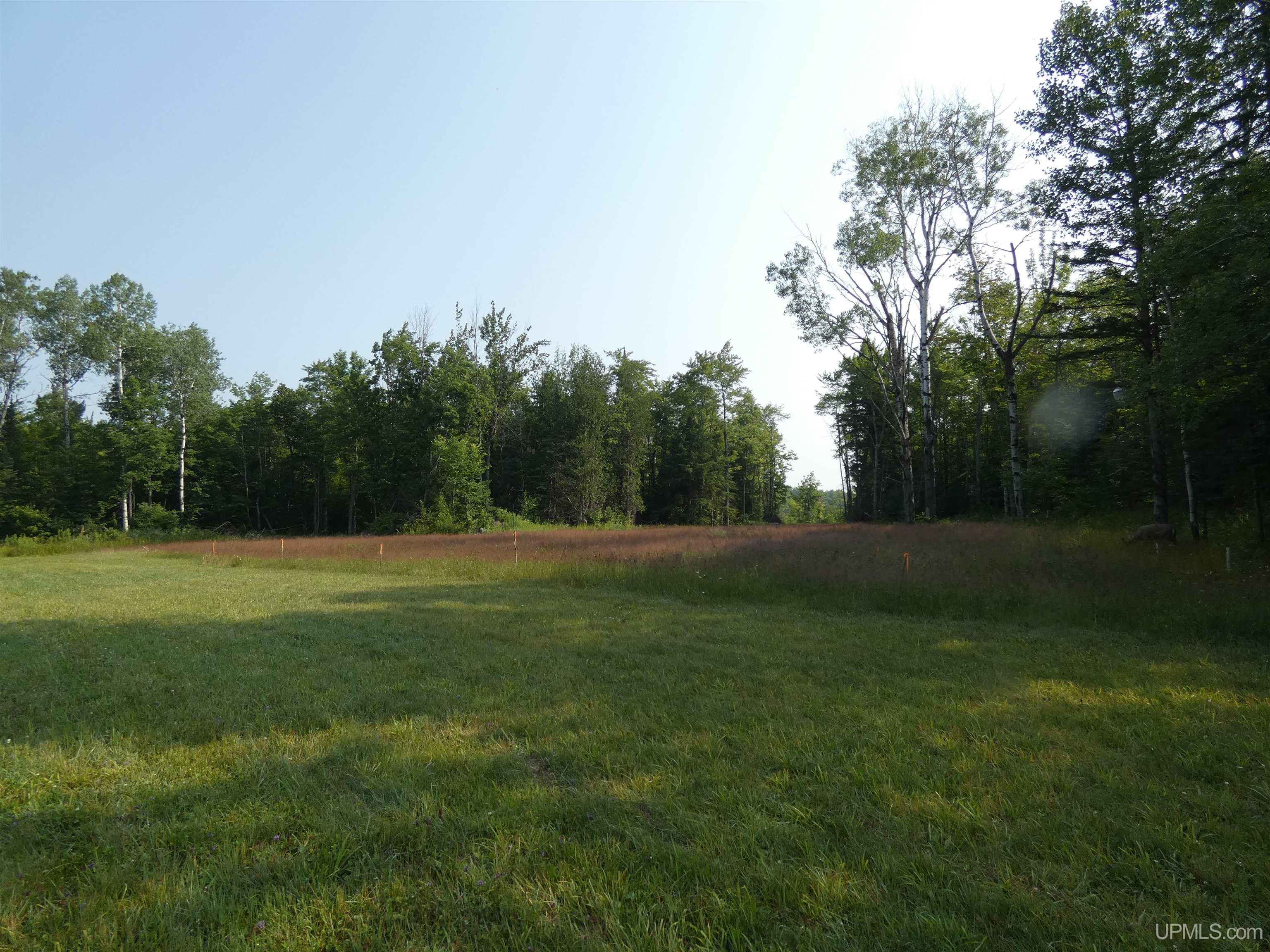 MLS 50182984 Large photo number 33 