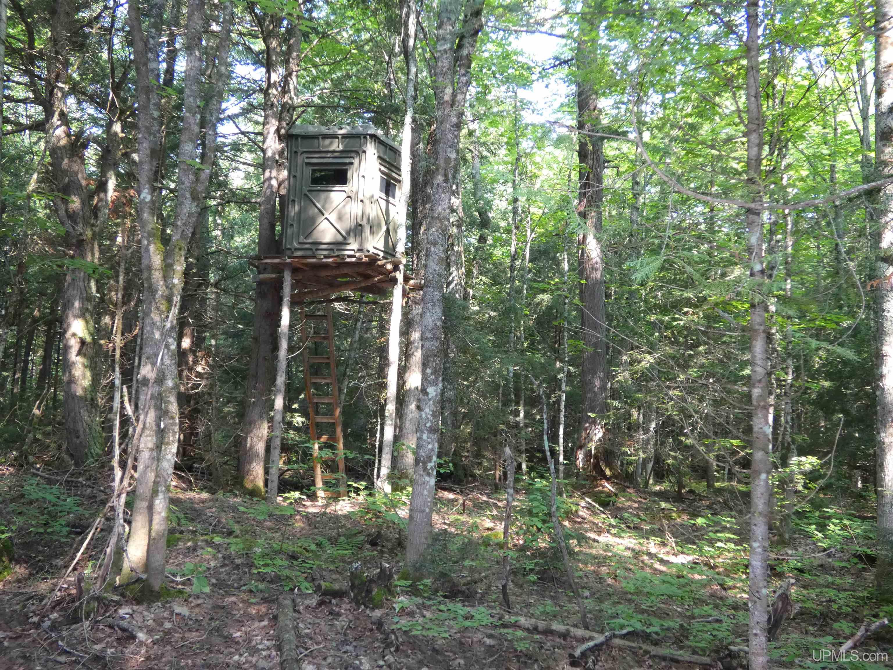 MLS 50182984 Large photo number 36 