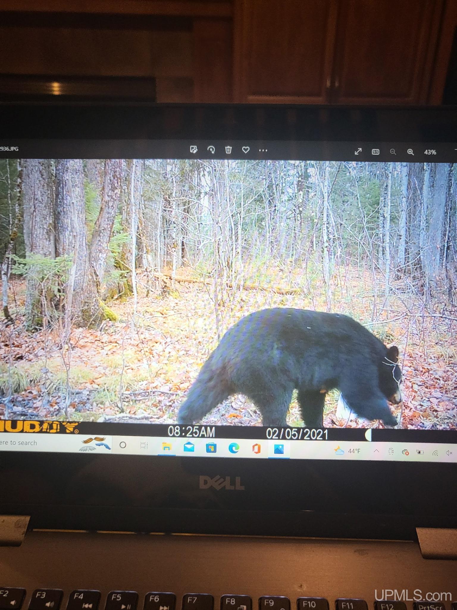 MLS 50182984 Large photo number 47 