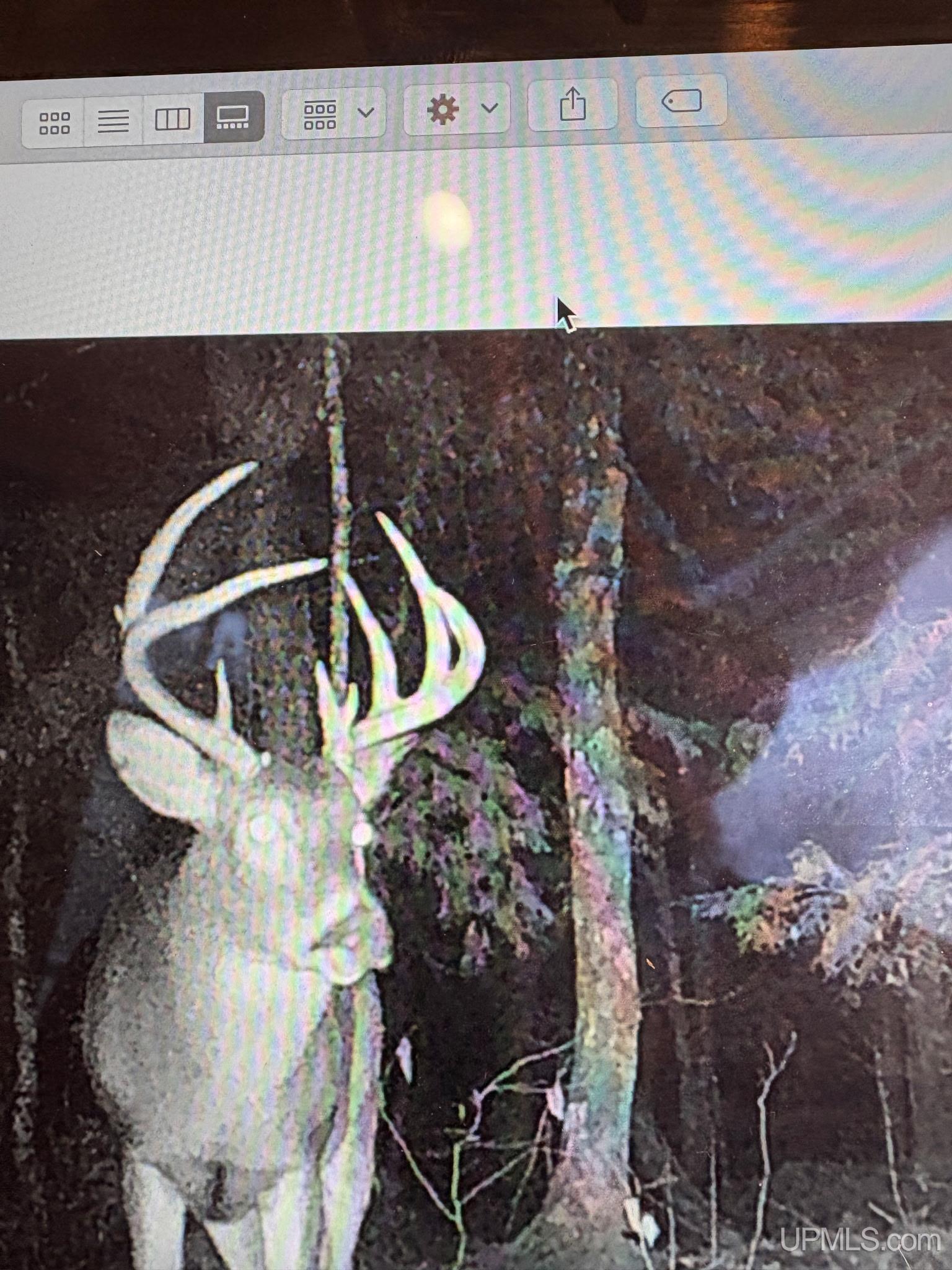 MLS 50182984 Large photo number 48 