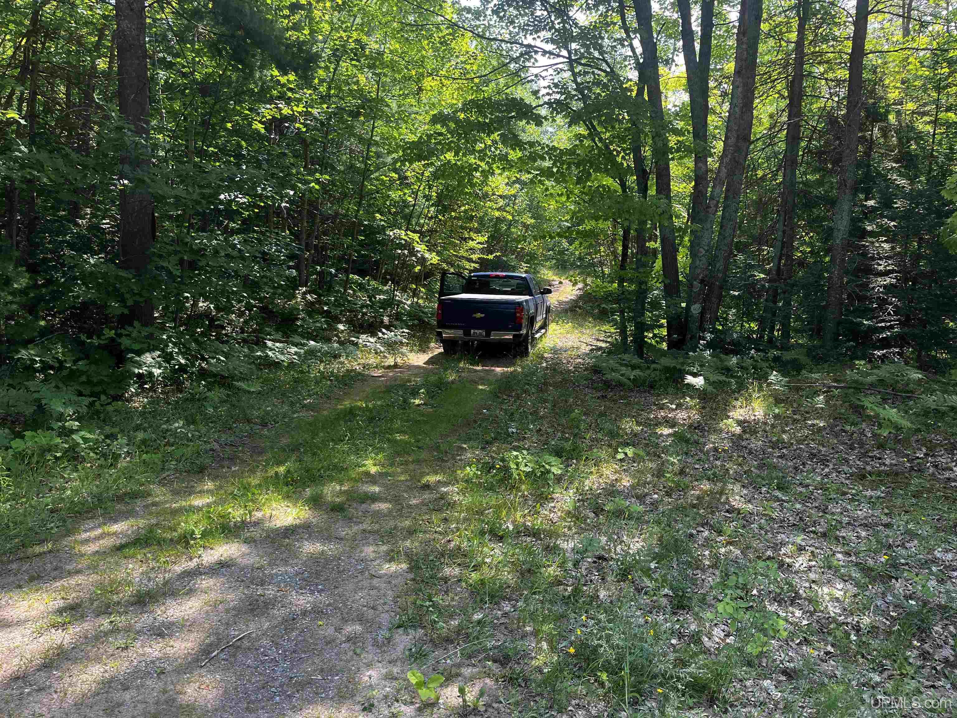 MLS 50183398 Large photo number 11 