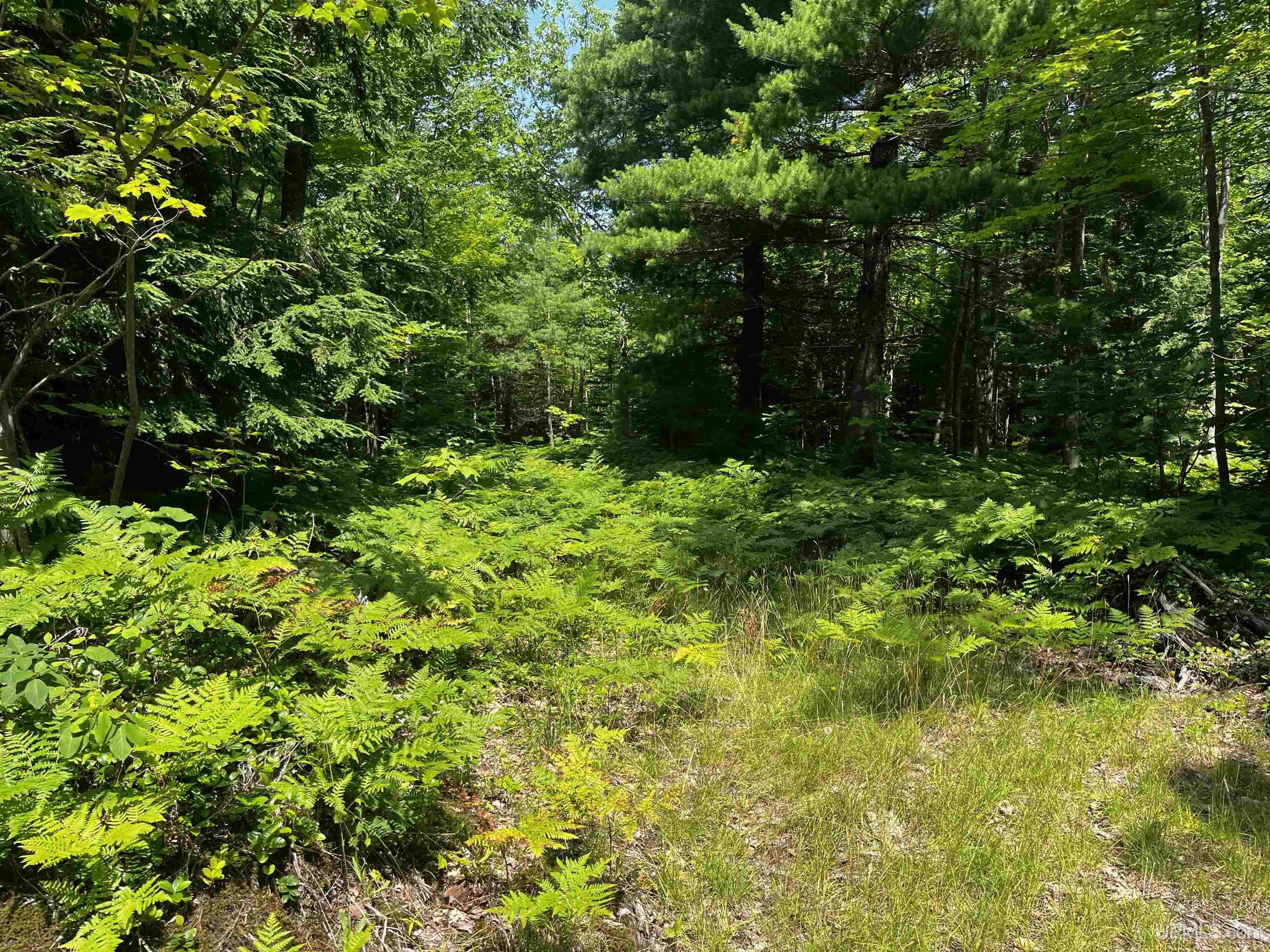 MLS 50183398 Large photo number 12 