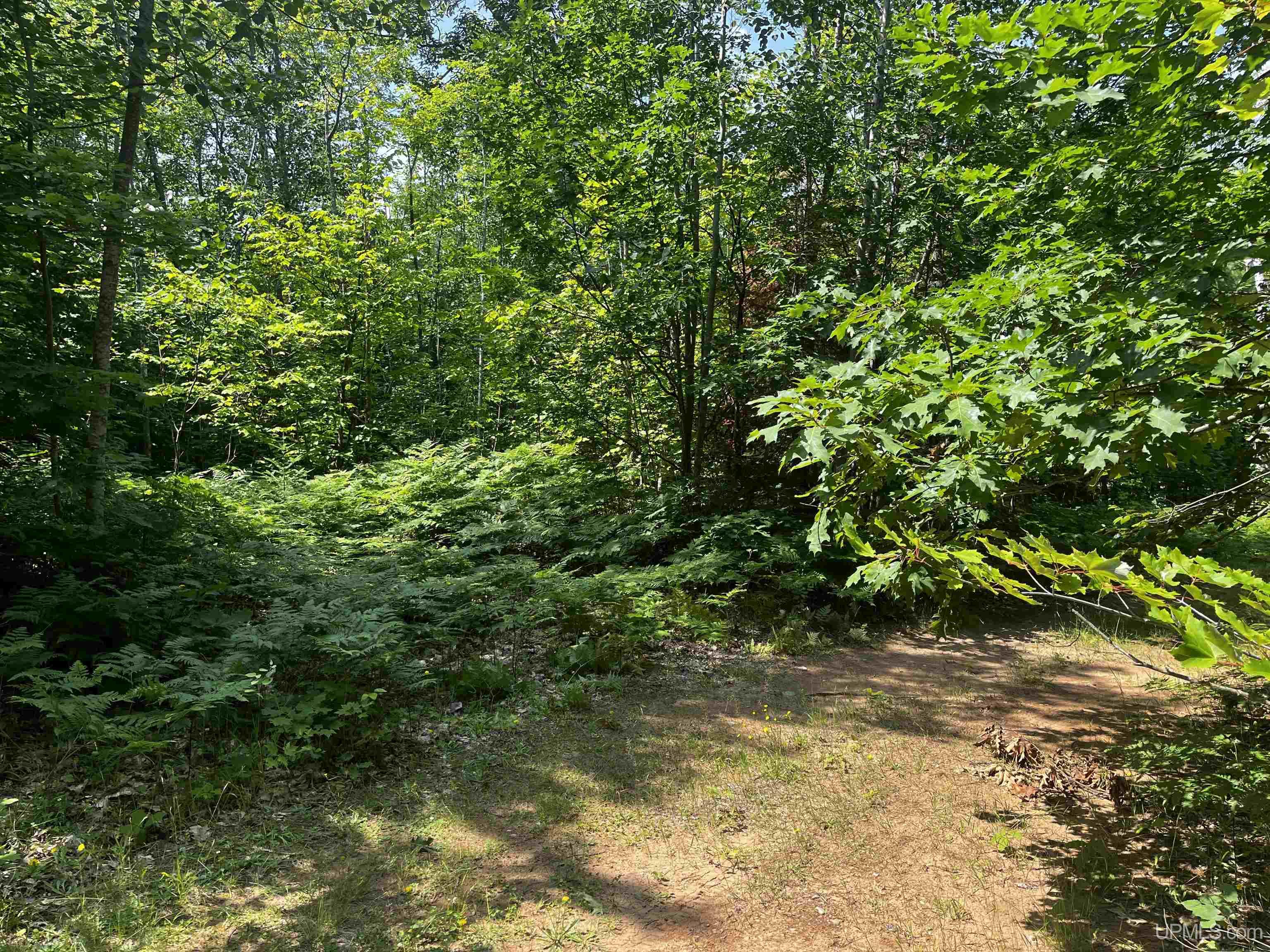 MLS 50183398 Large photo number 13 