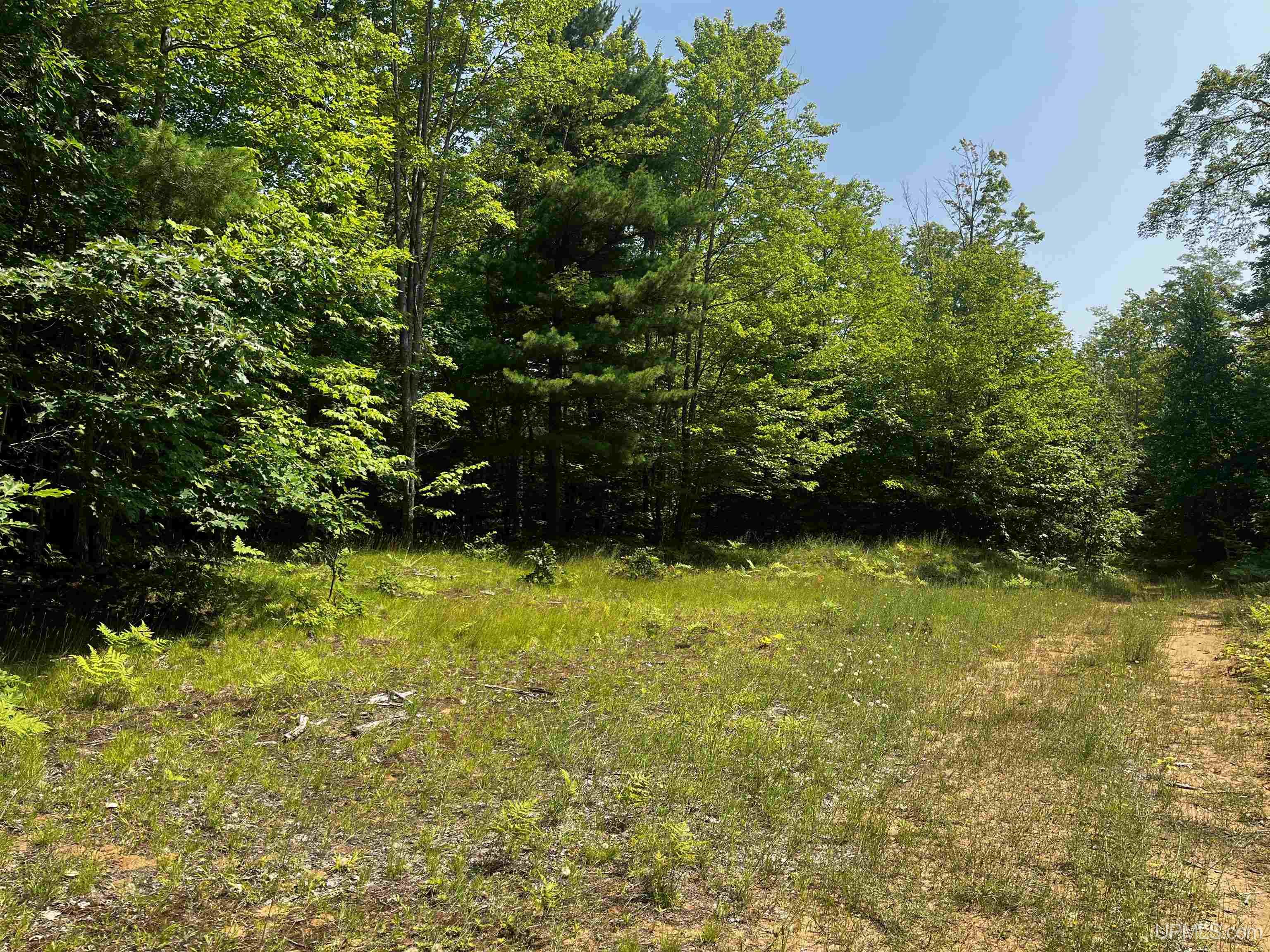 MLS 50183398 Large photo number 16 