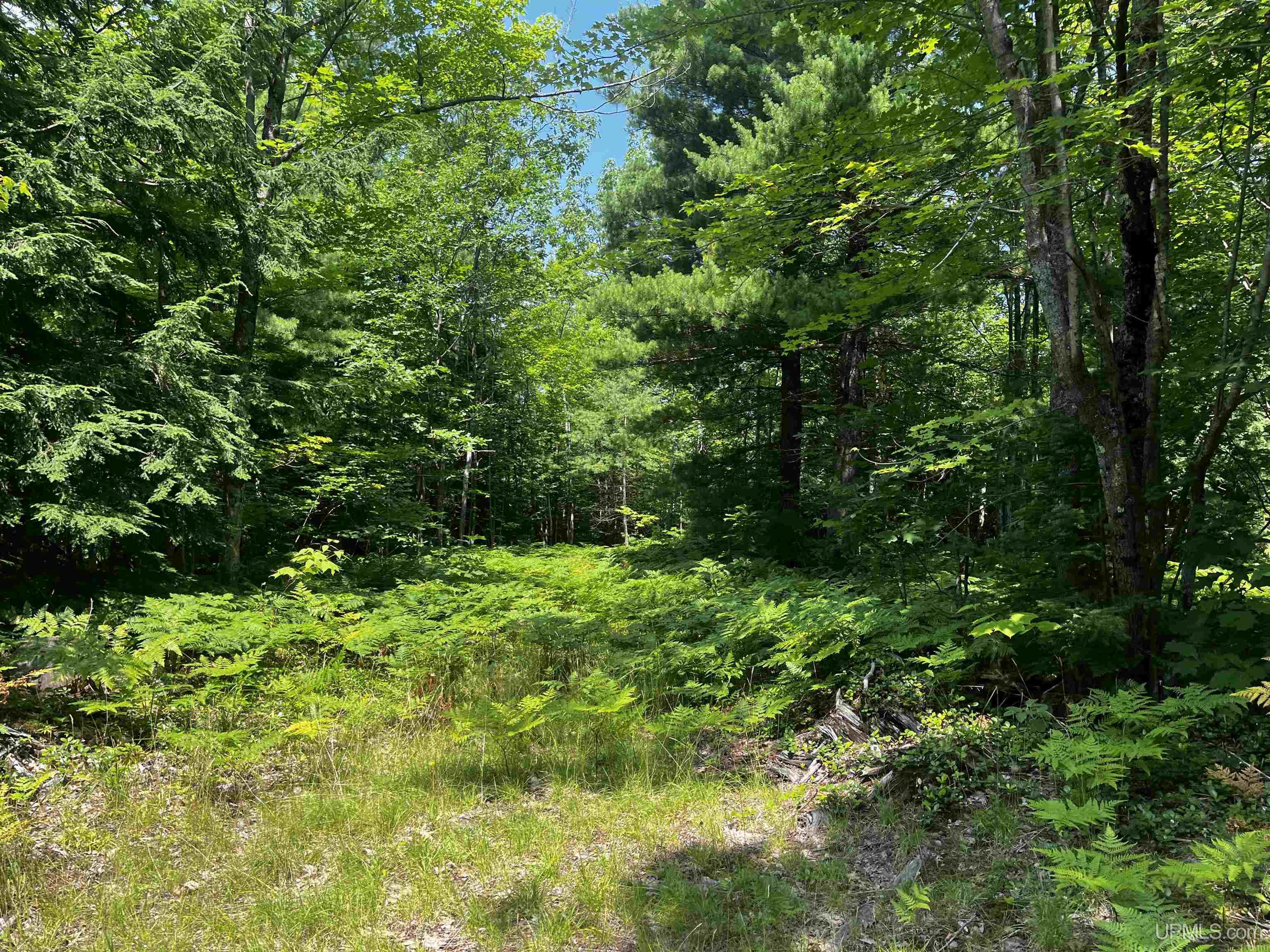 MLS 50183398 Large photo number 18 