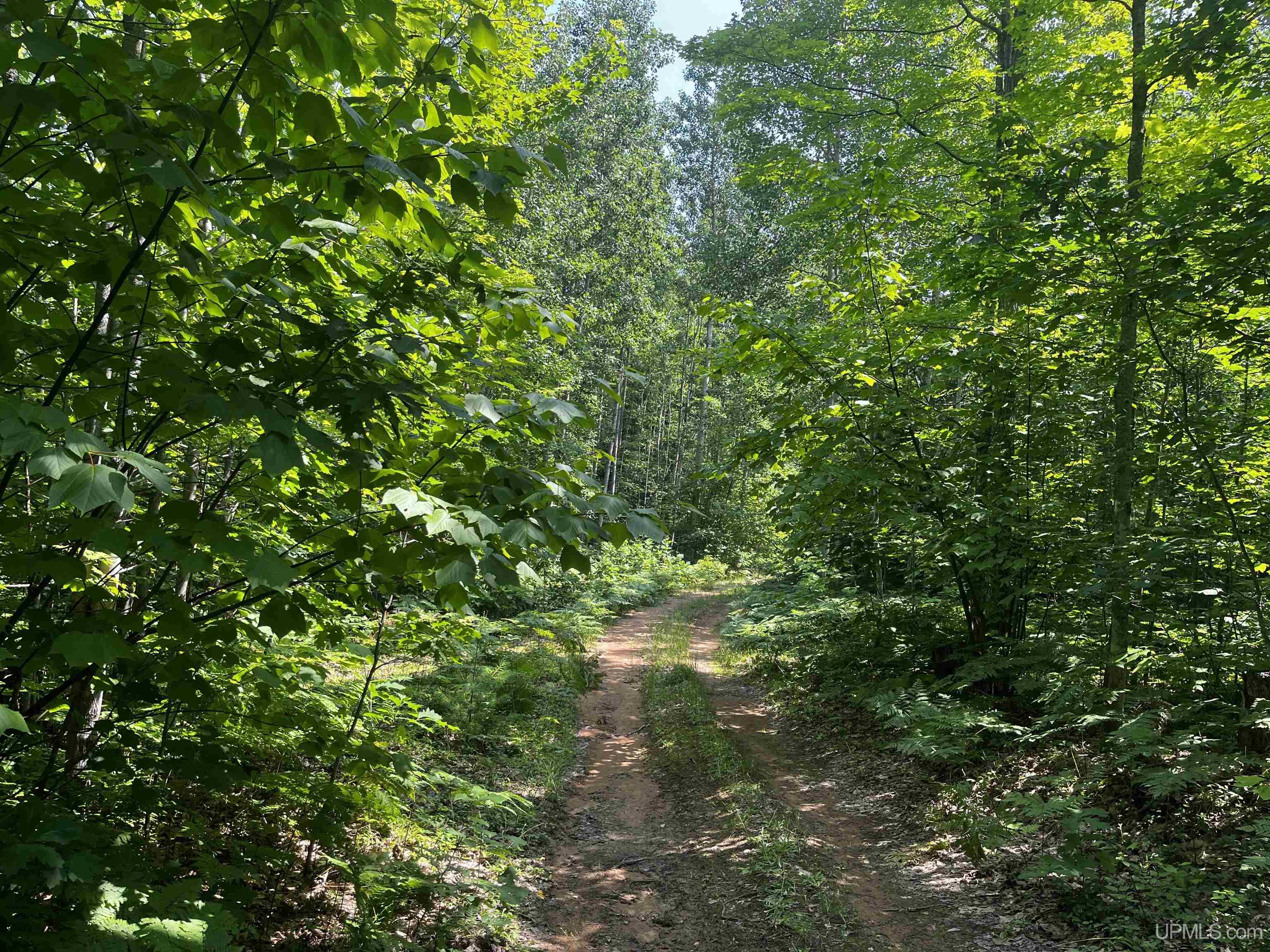 MLS 50183398 Large photo number 19 