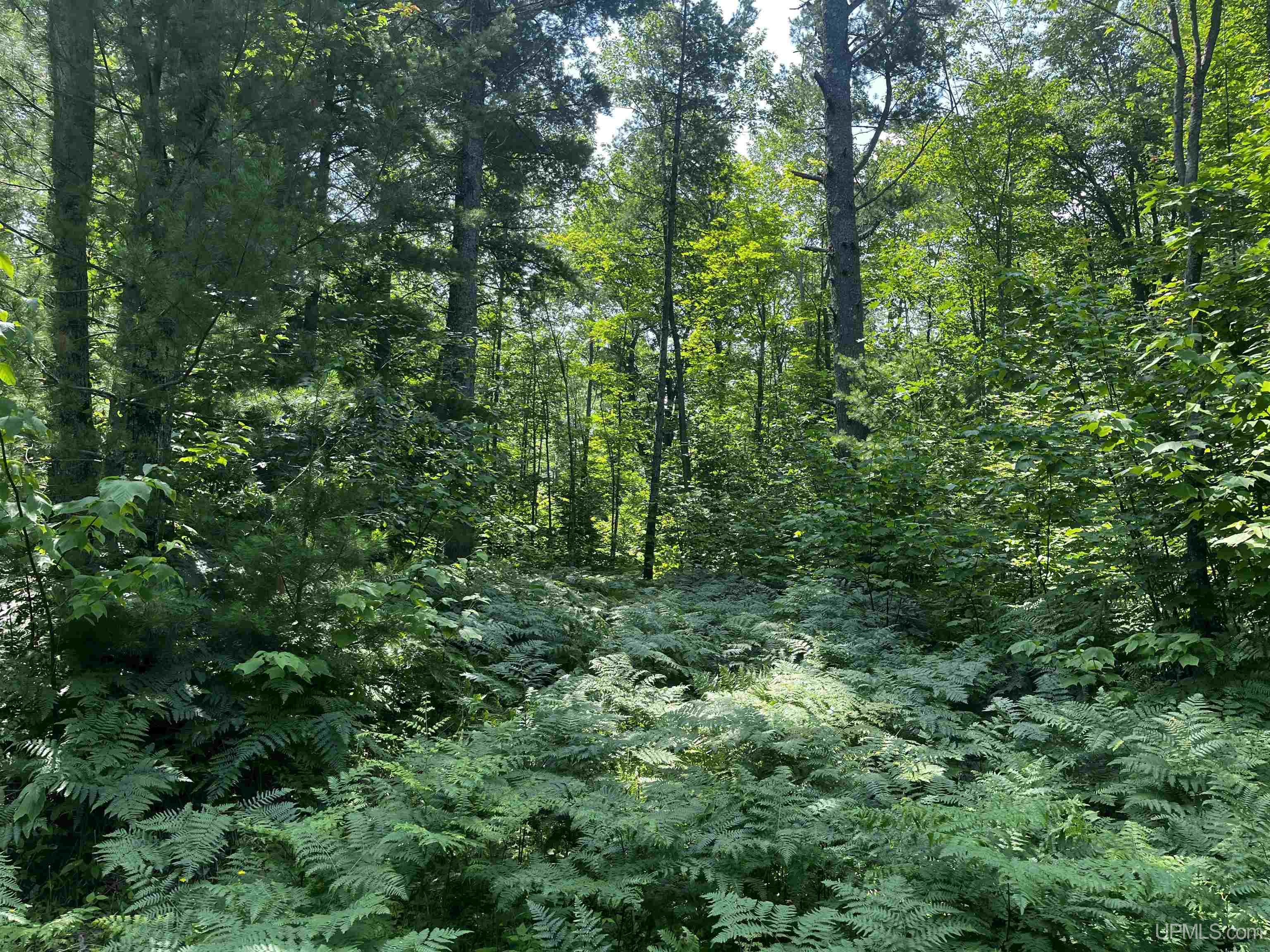 MLS 50183398 Large photo number 21 