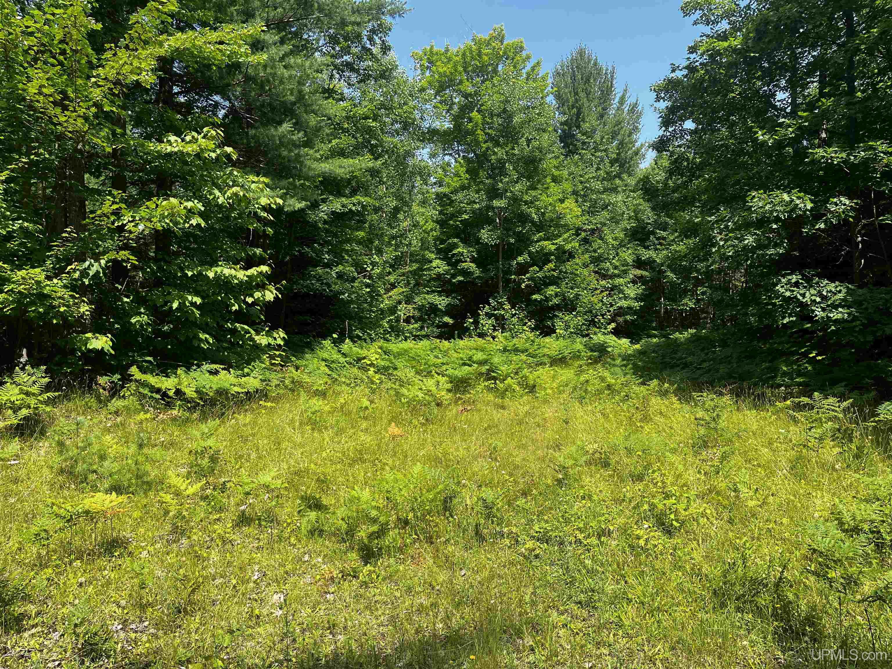 MLS 50183398 Large photo number 22 