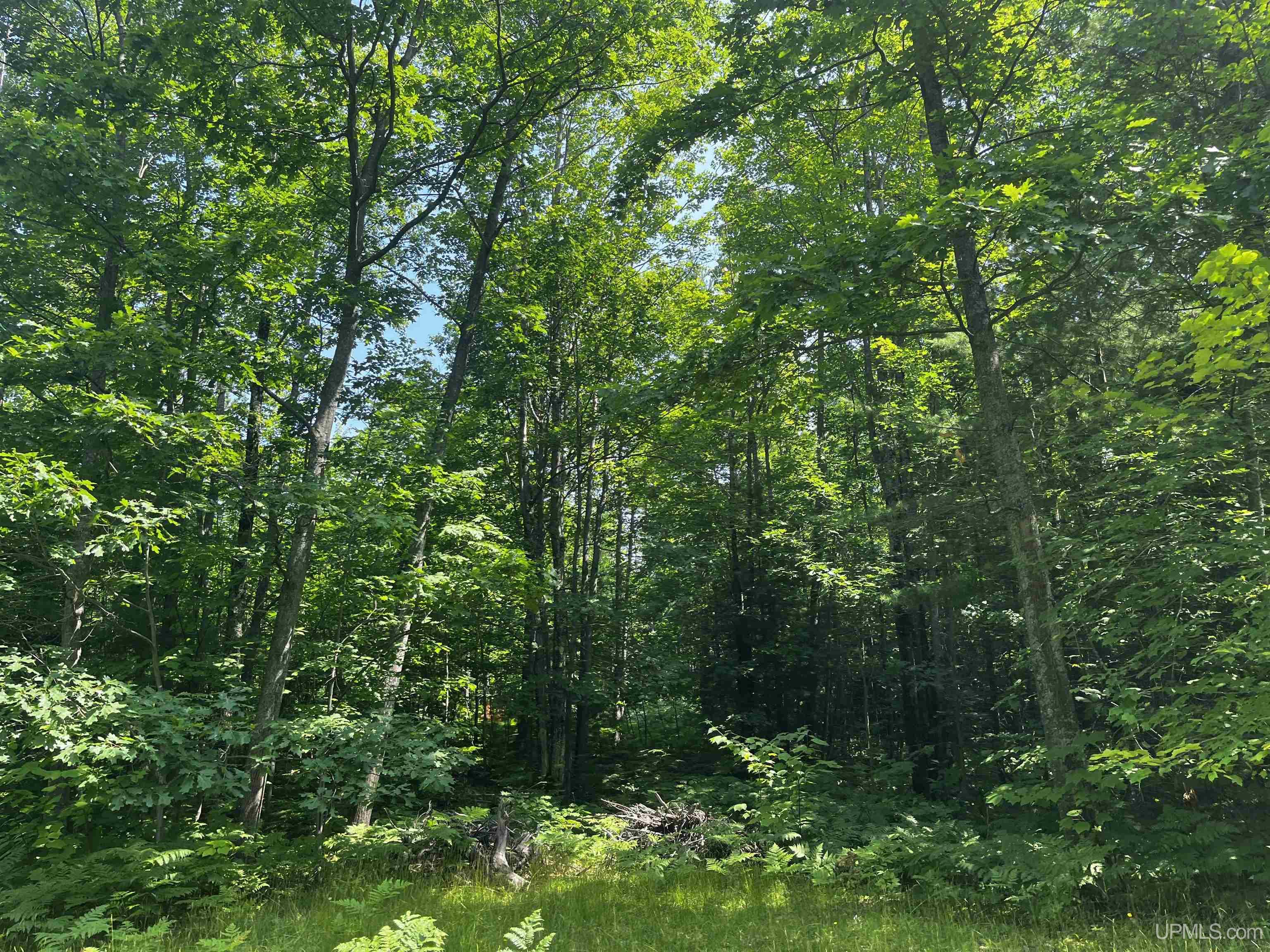 MLS 50183398 Large photo number 23 