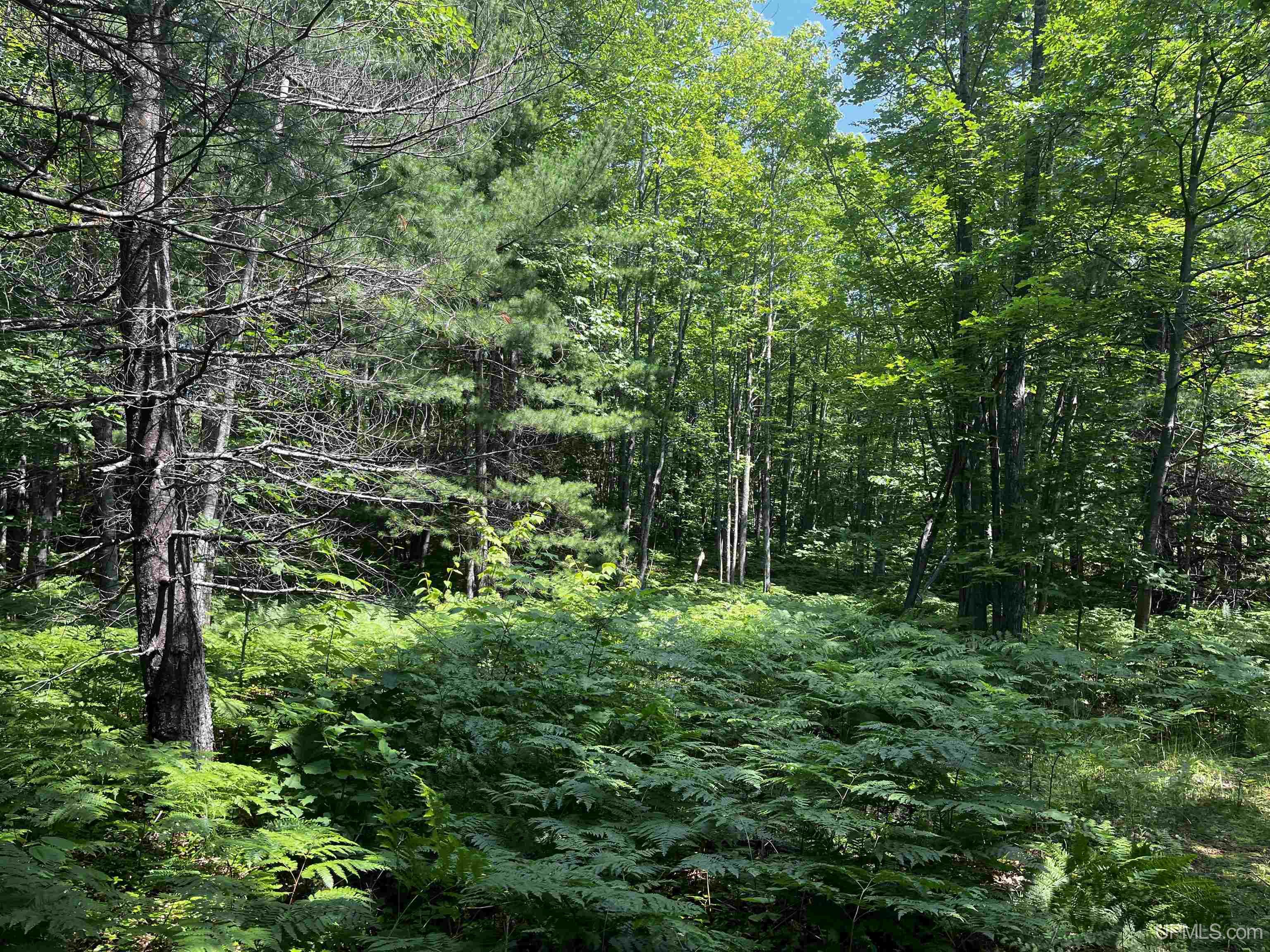 MLS 50183398 Large photo number 25 