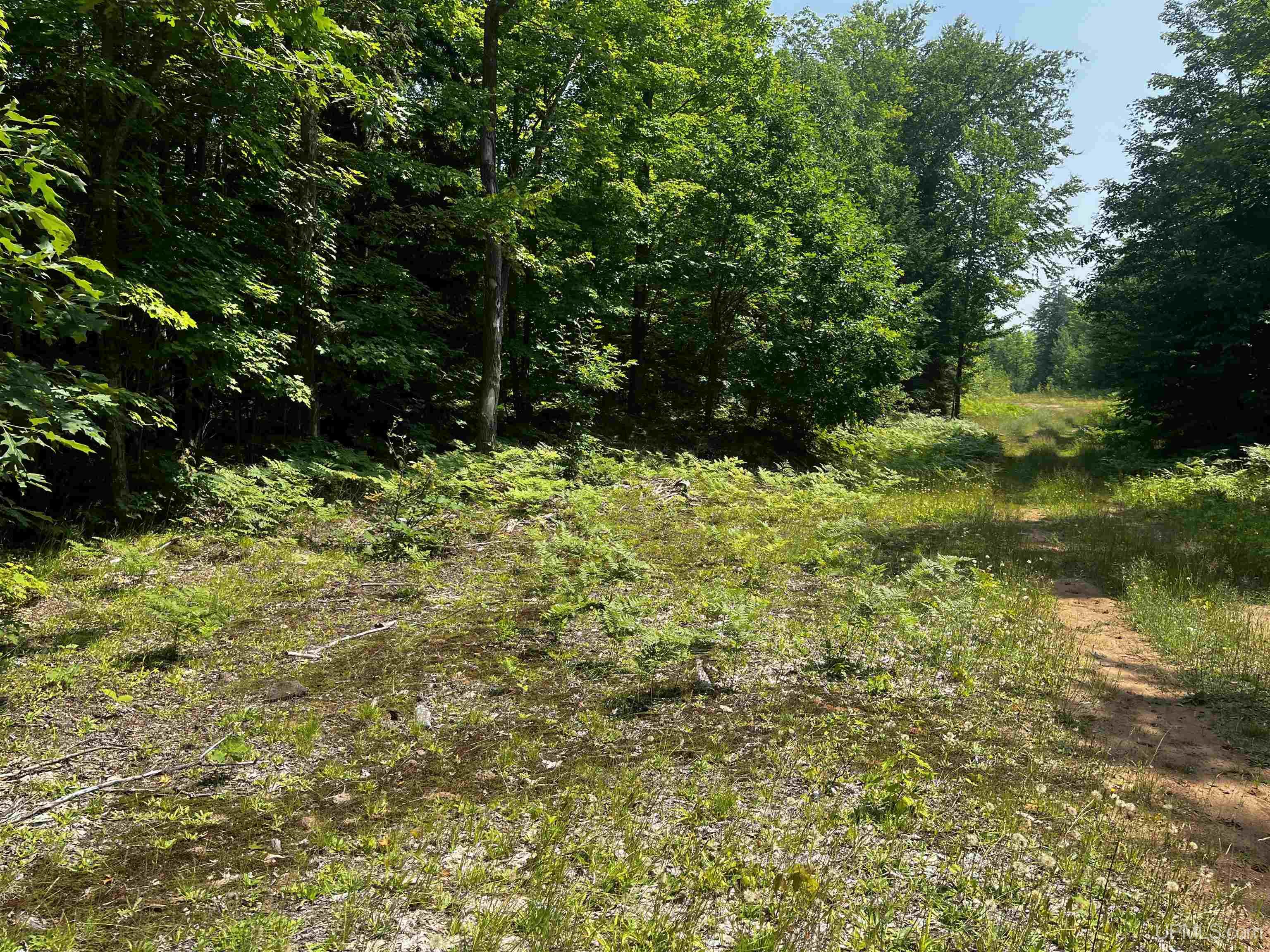 MLS 50183398 Large photo number 27 