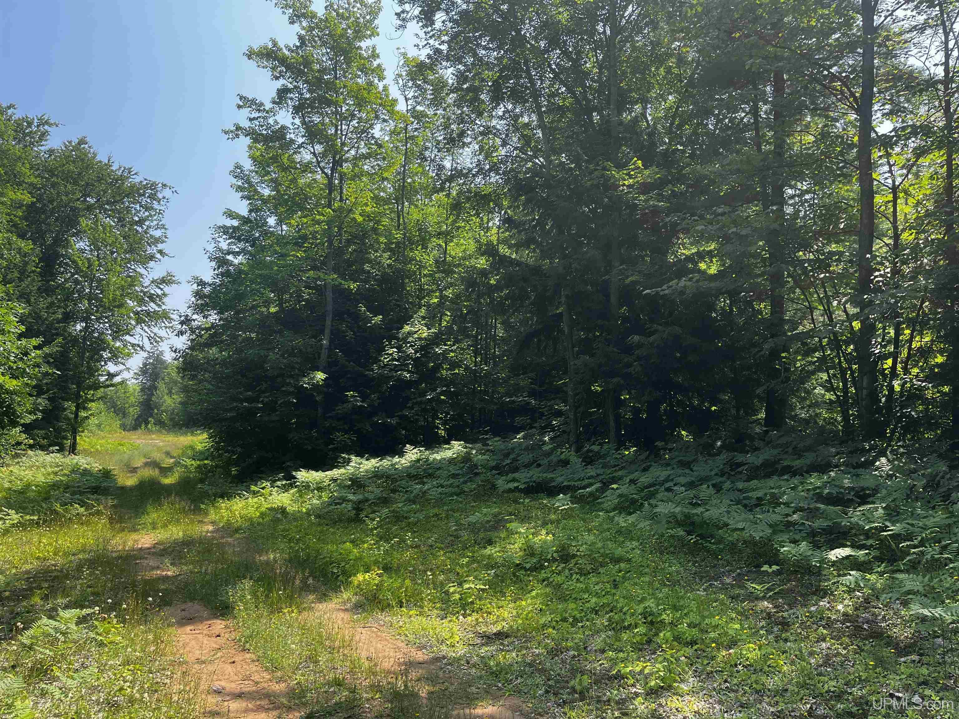 MLS 50183398 Large photo number 28 