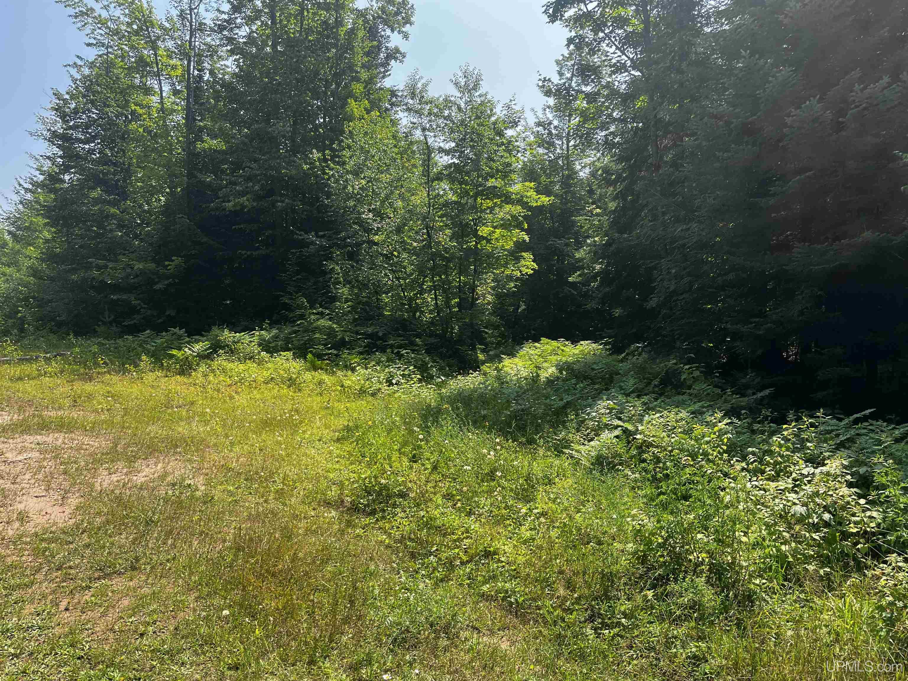 MLS 50183398 Large photo number 29 