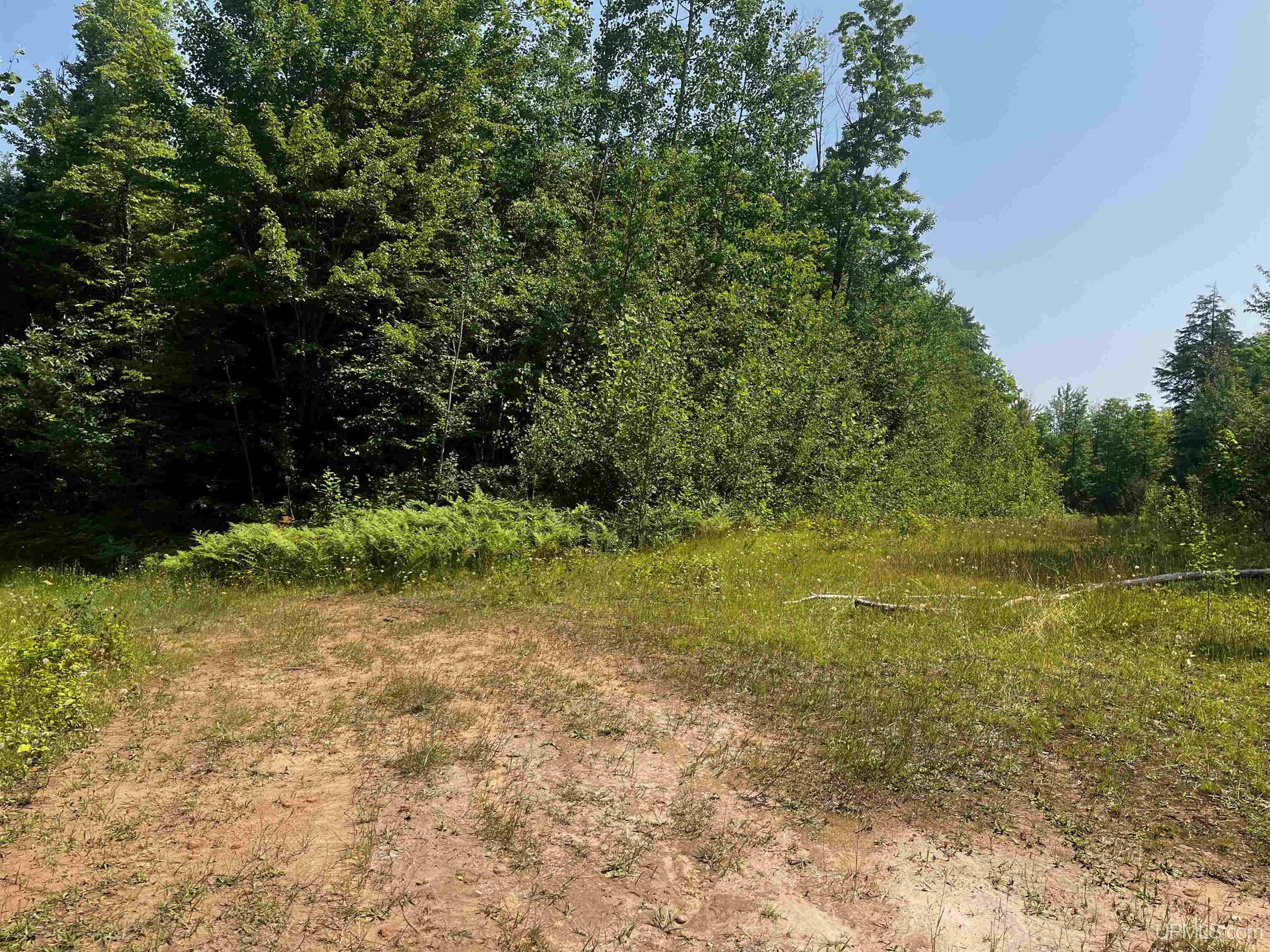 MLS 50183398 Large photo number 30 