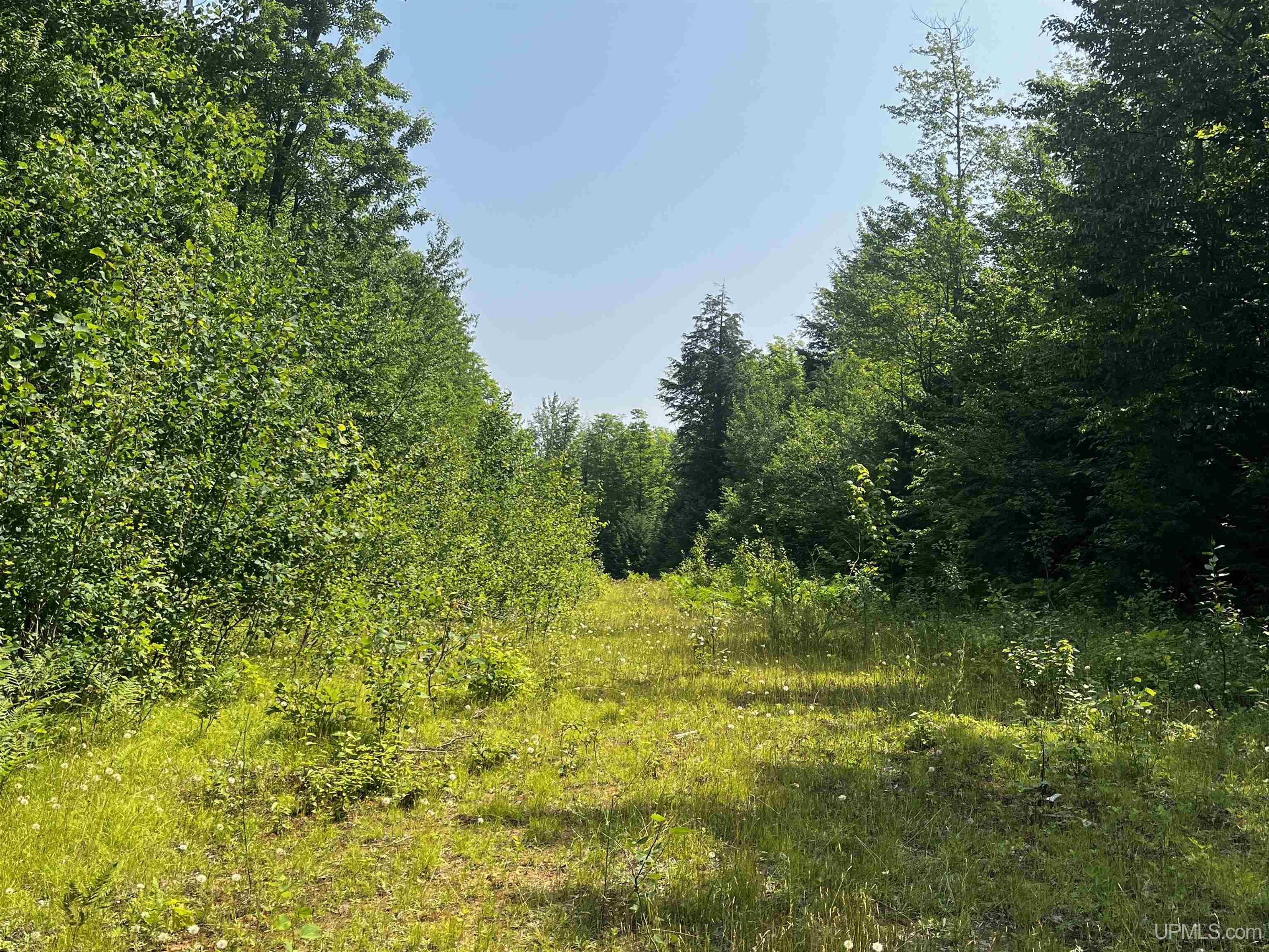 MLS 50183398 Large photo number 31 